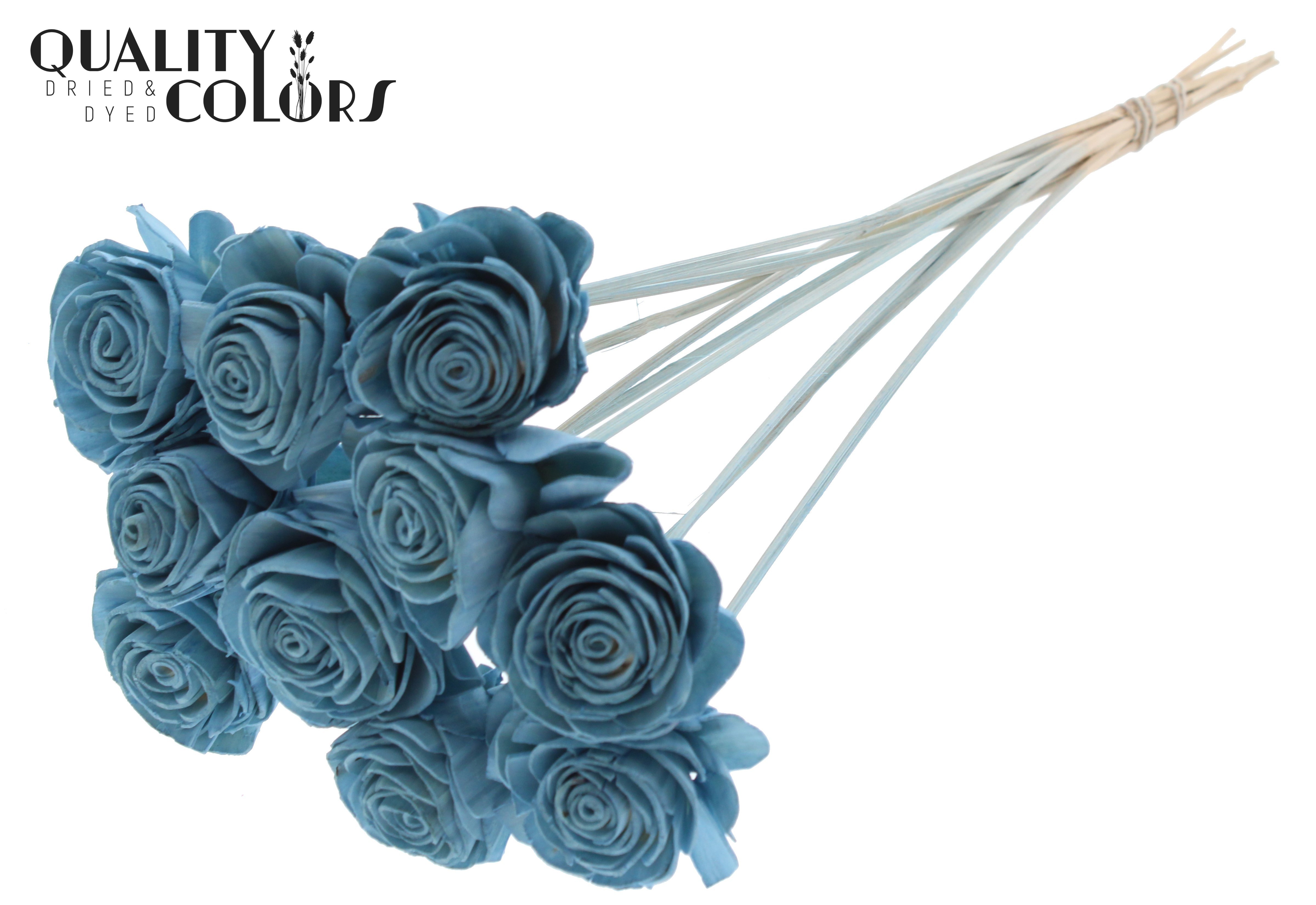 Shola Beauty Rose Light Blue 50cm
