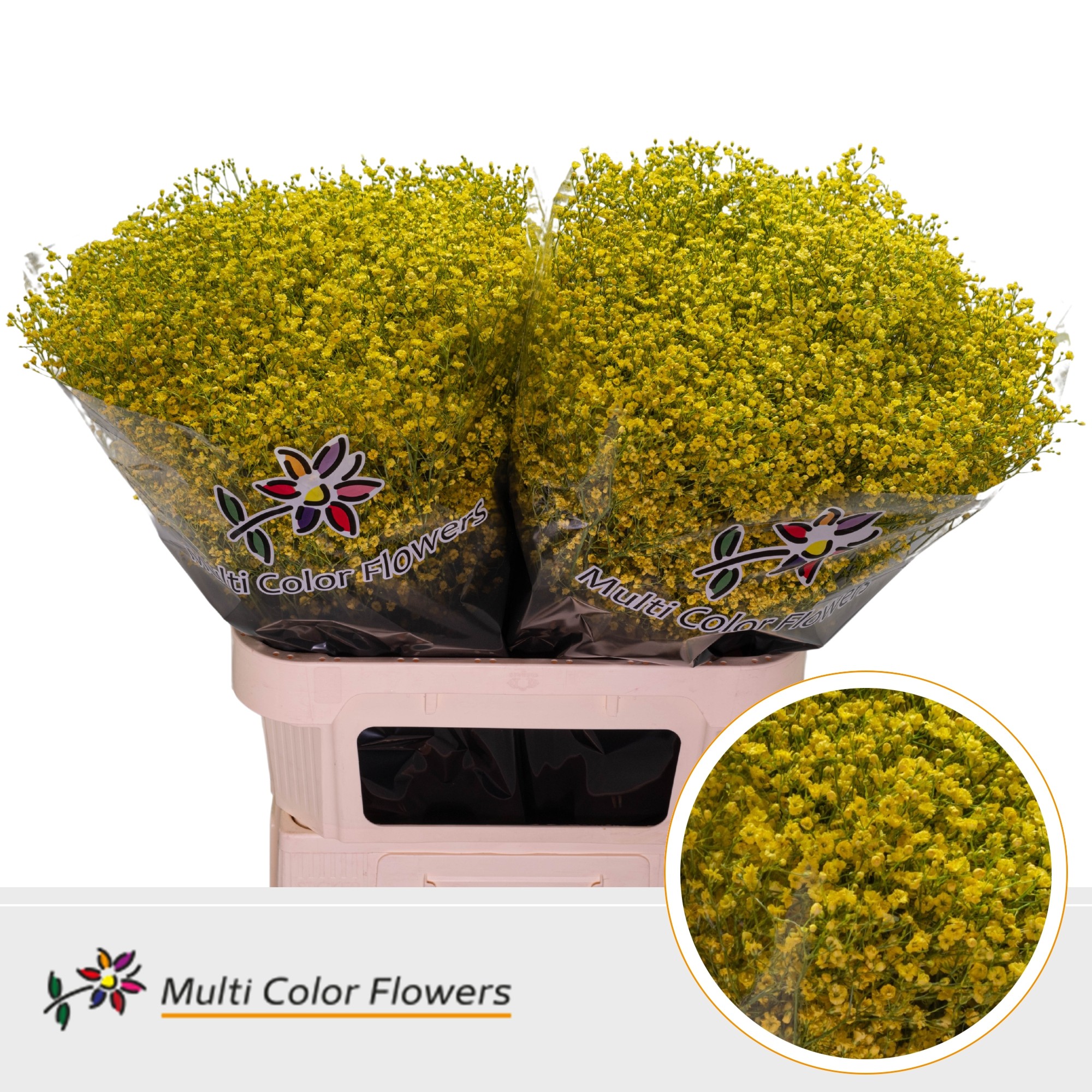 Gypsophila Painted Million Star Yellow 80cm