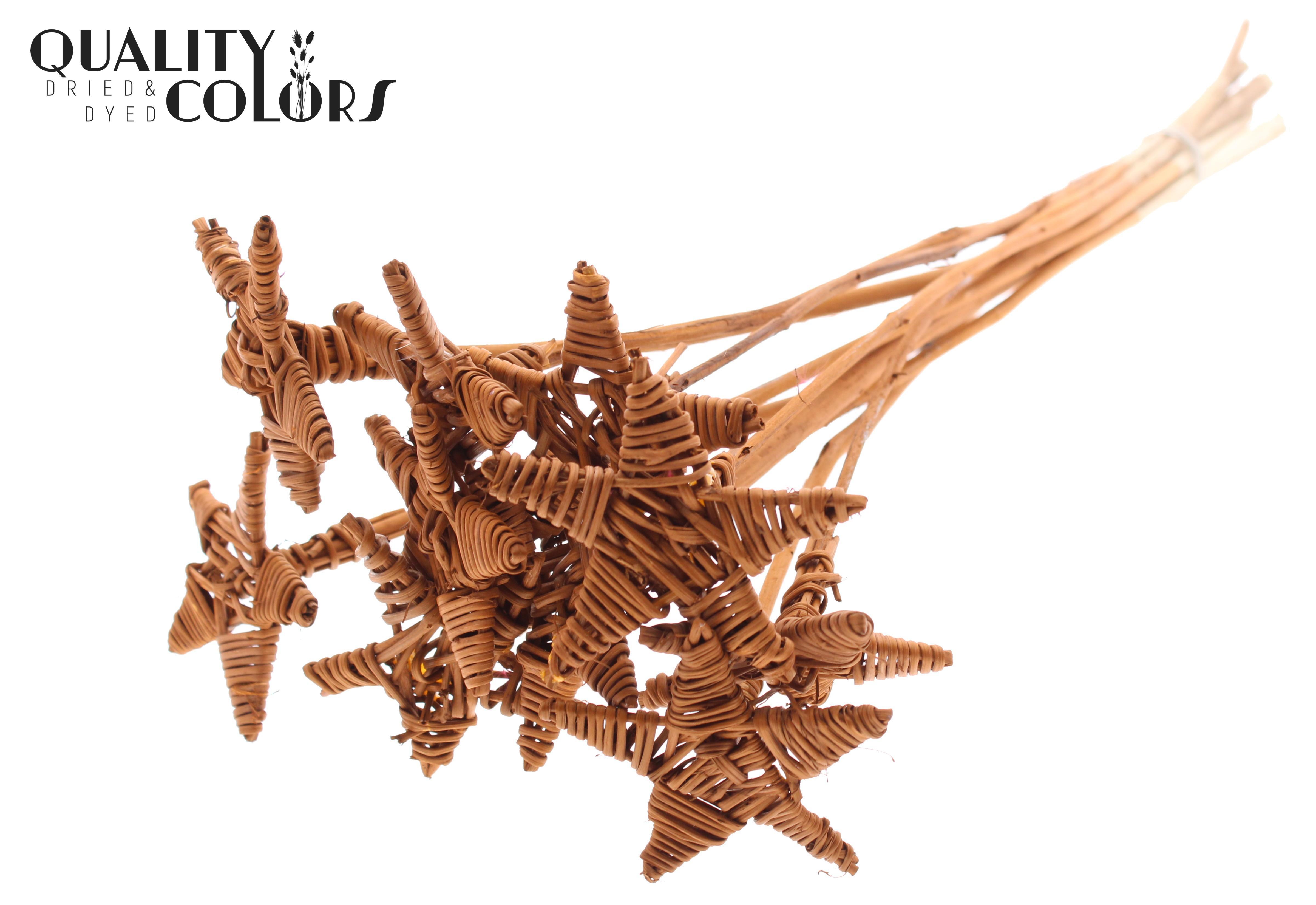 Lata Star Terracotta 50cm
