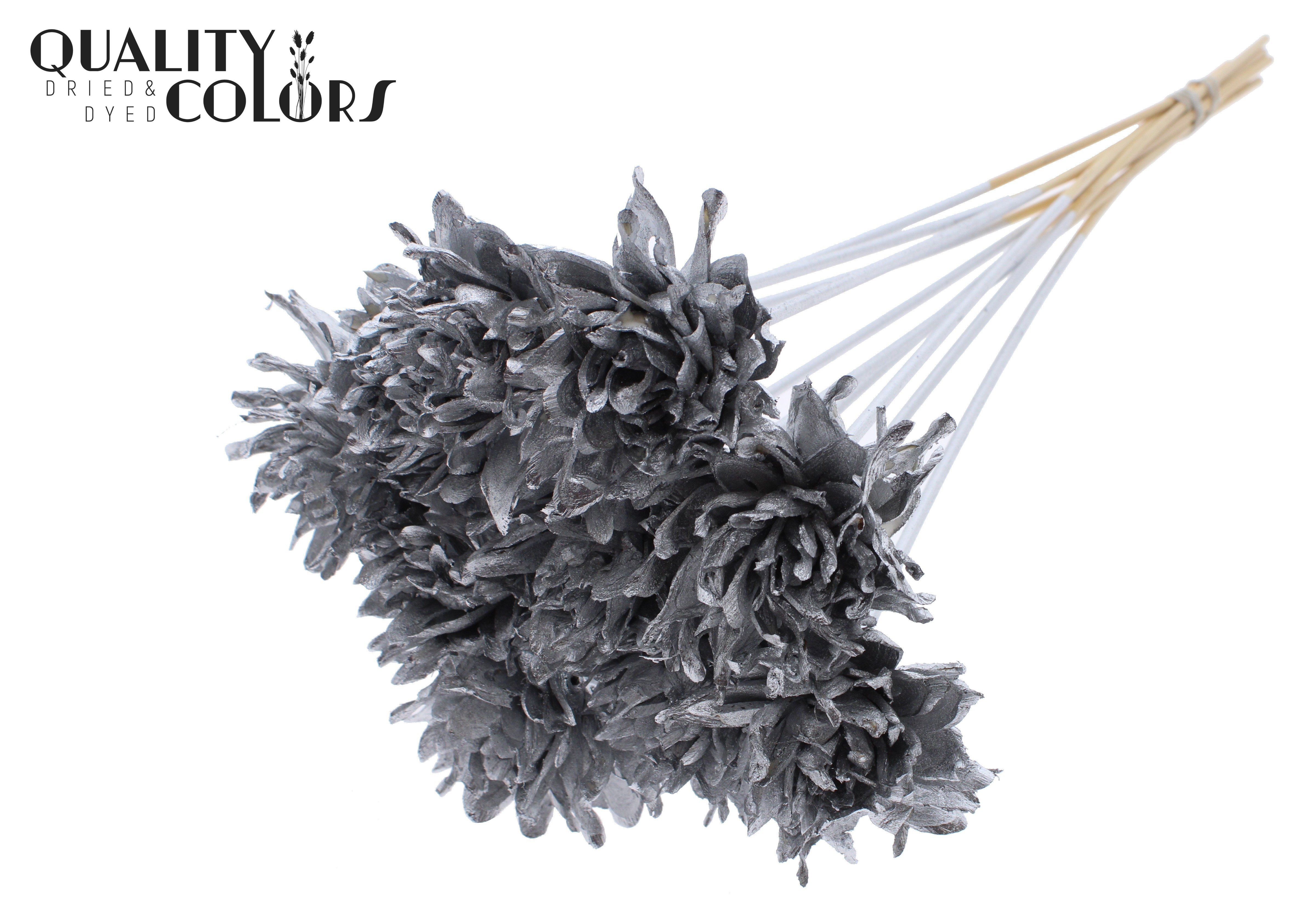 Shola Slice Pine Silver 50cm