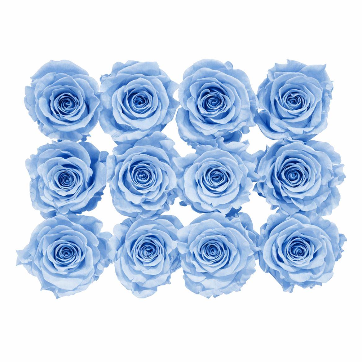 Ro Pres Mini Blue Light