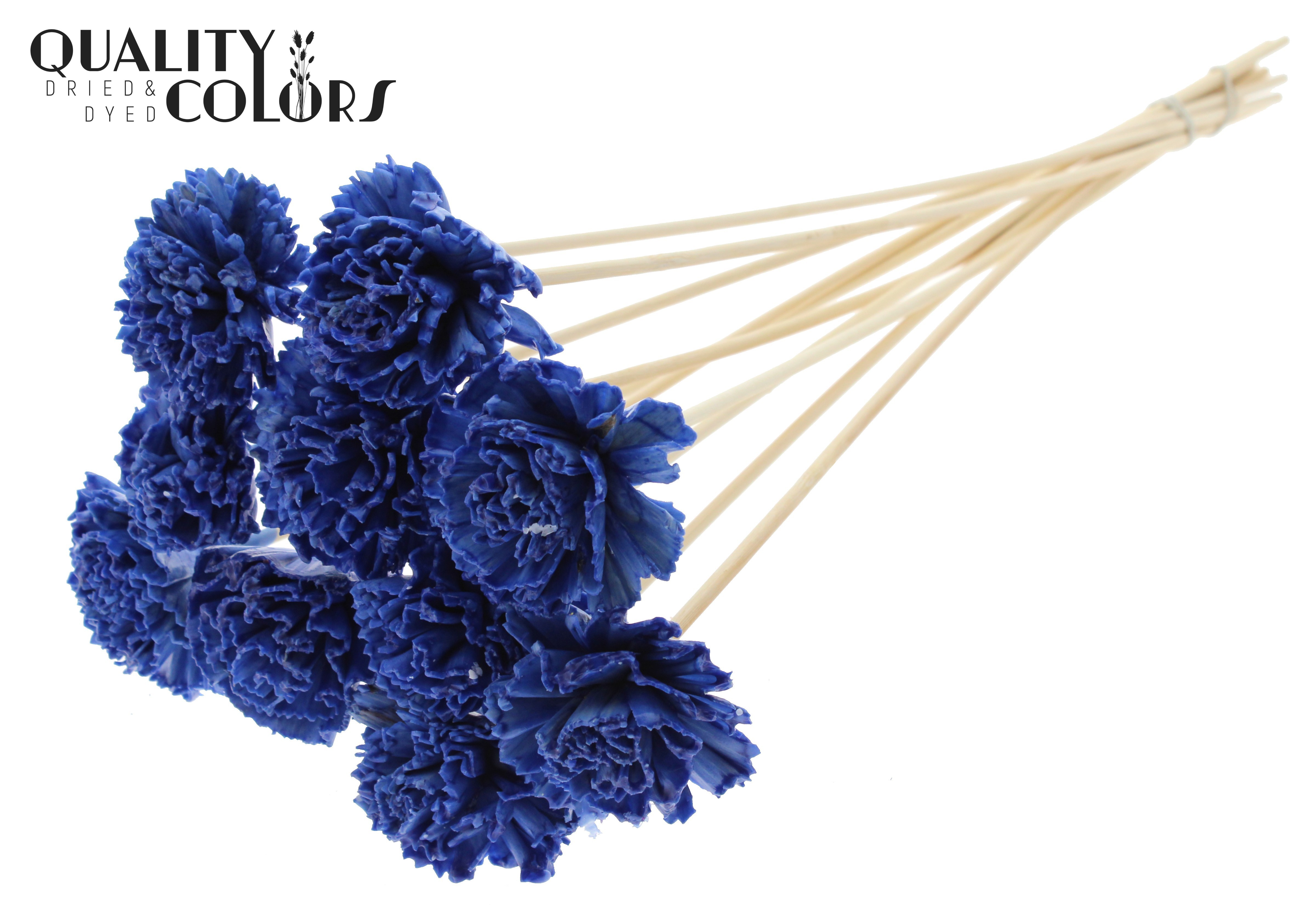 Shola Karnish Flower Wax Blue 50cm