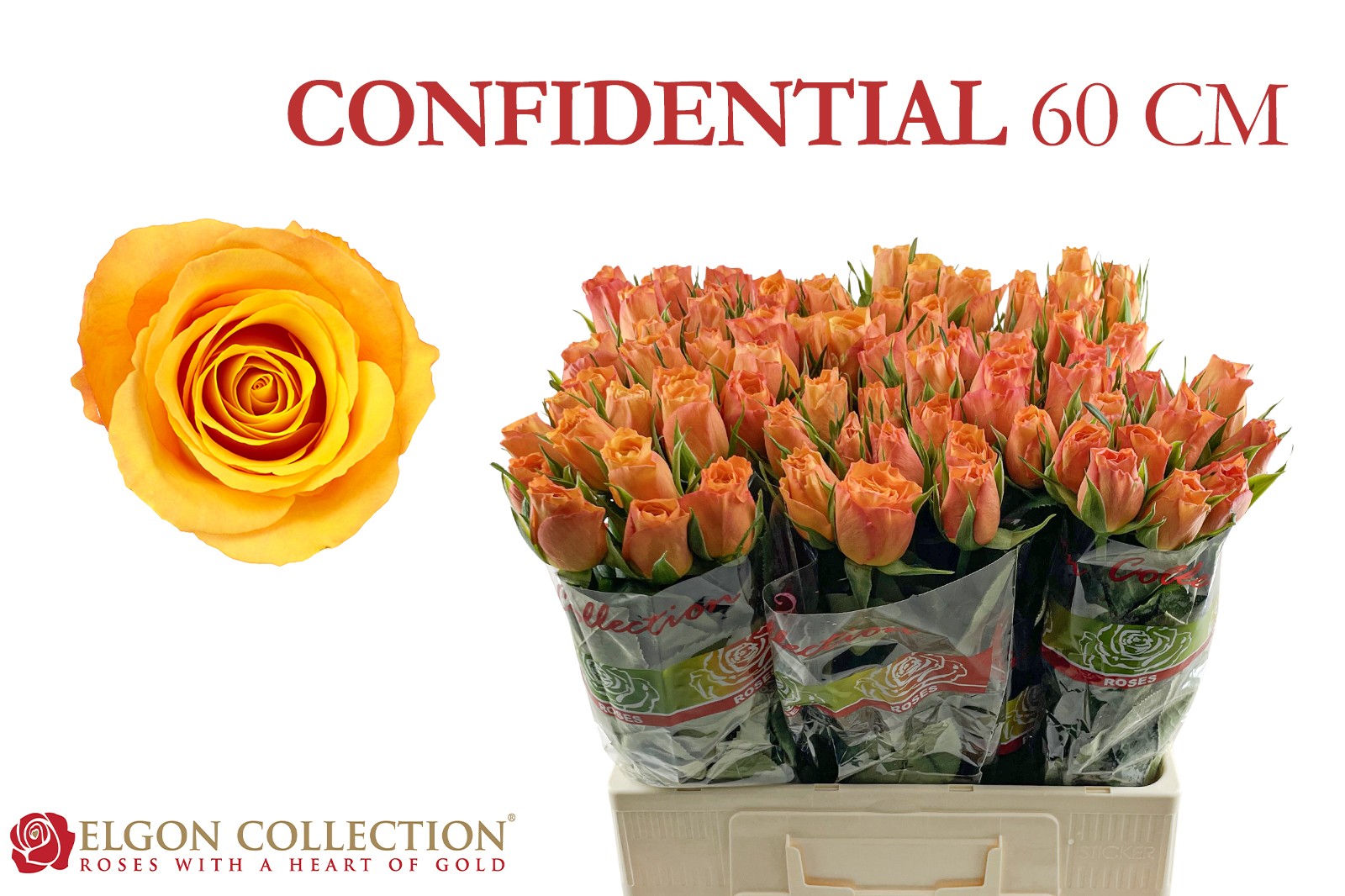 R Gr Confidential