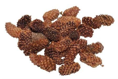 Pinecone Mini Spruce 4-5cm
