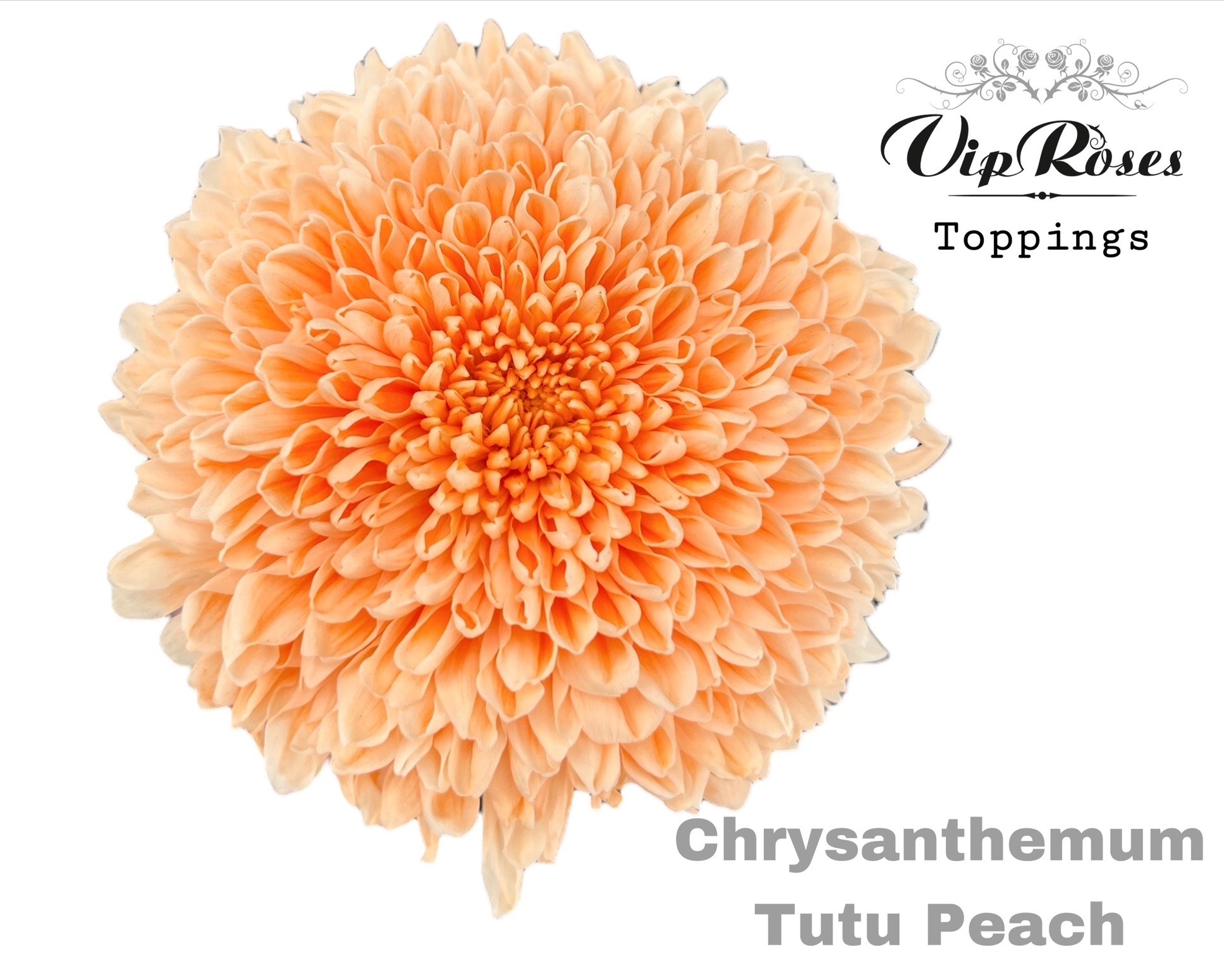 Chr G Tutu Peach 70 cm
