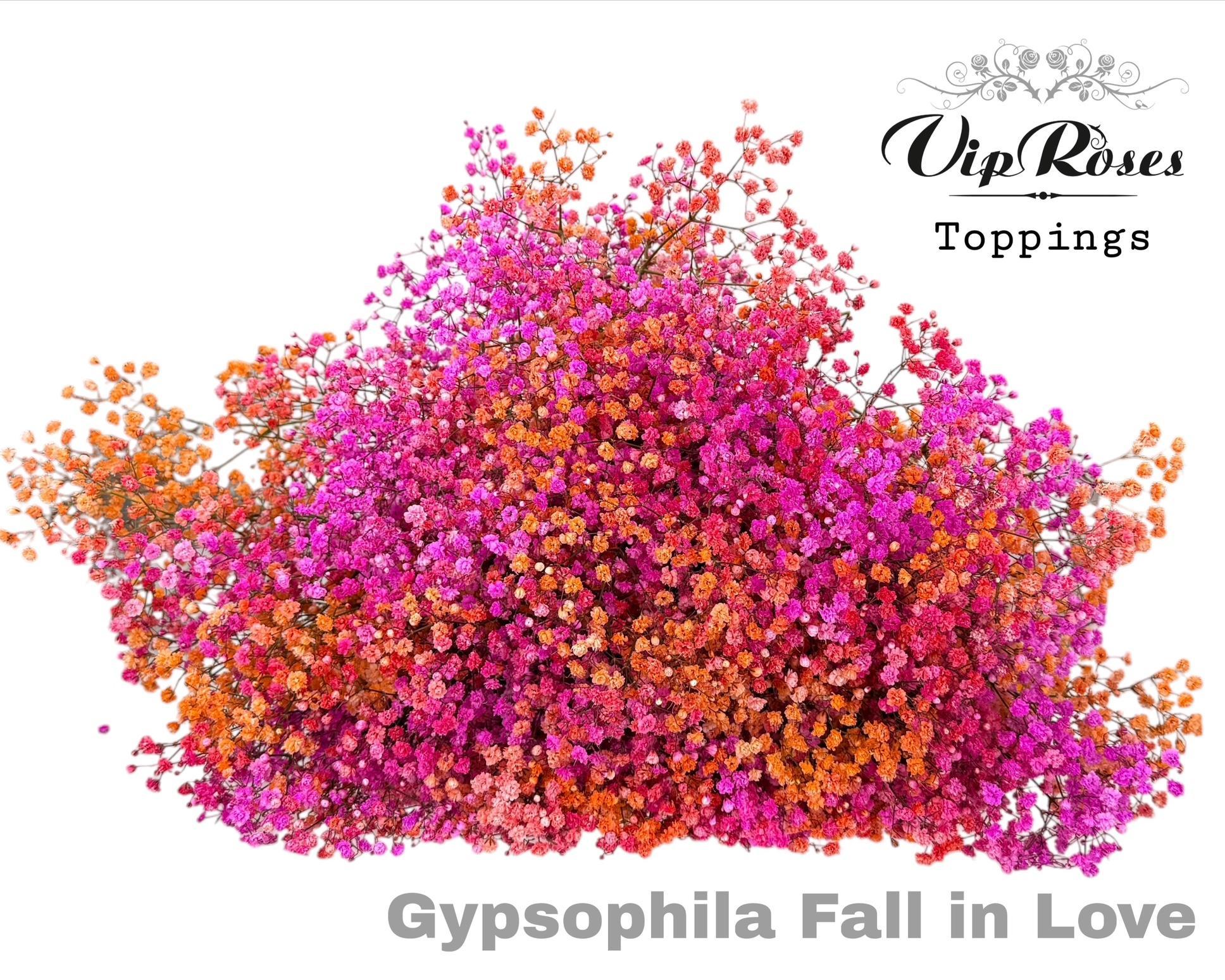 Gyps Pa Fall In Love