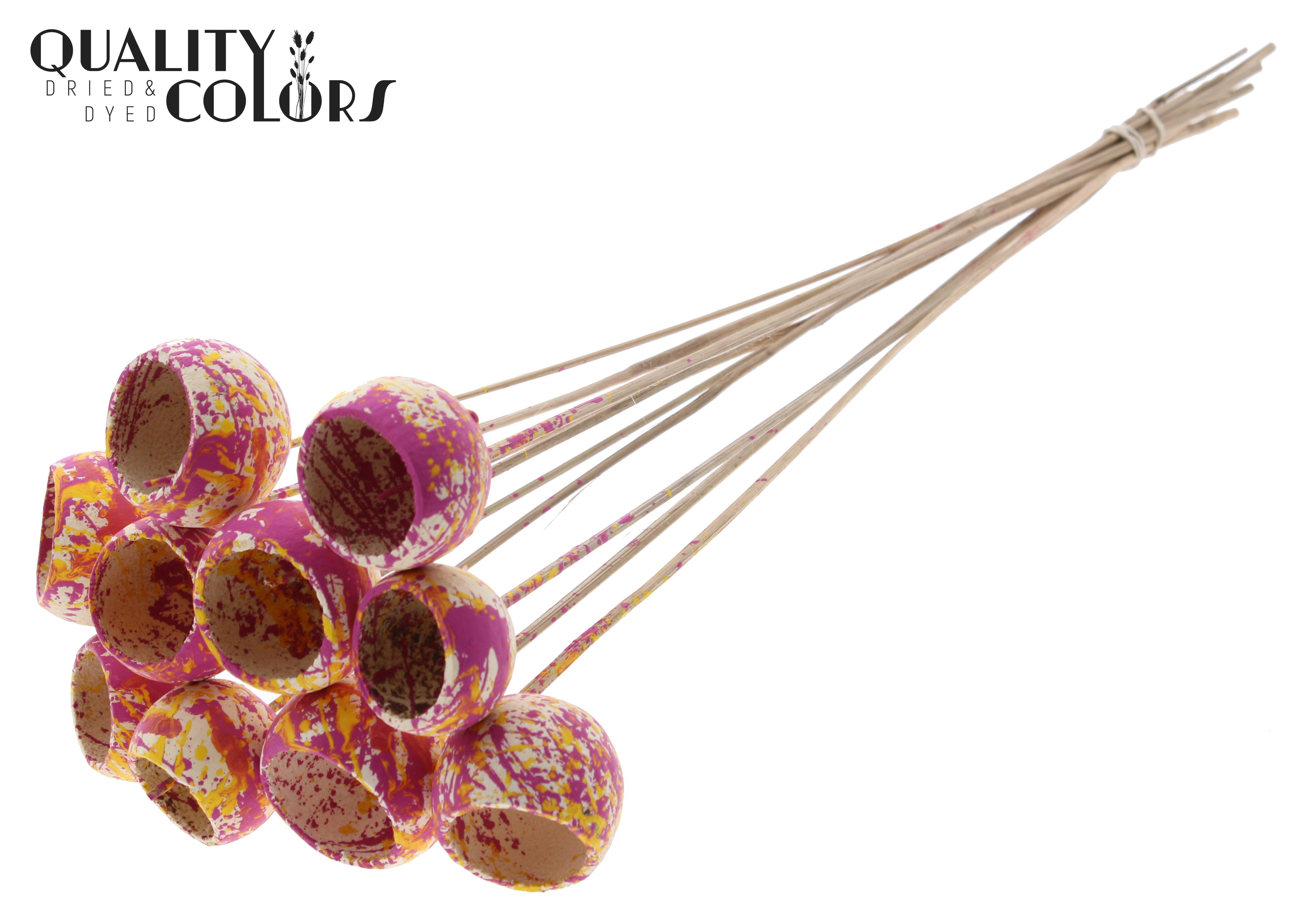 Bell Cup Multicolour Cerise Yellow 50cm