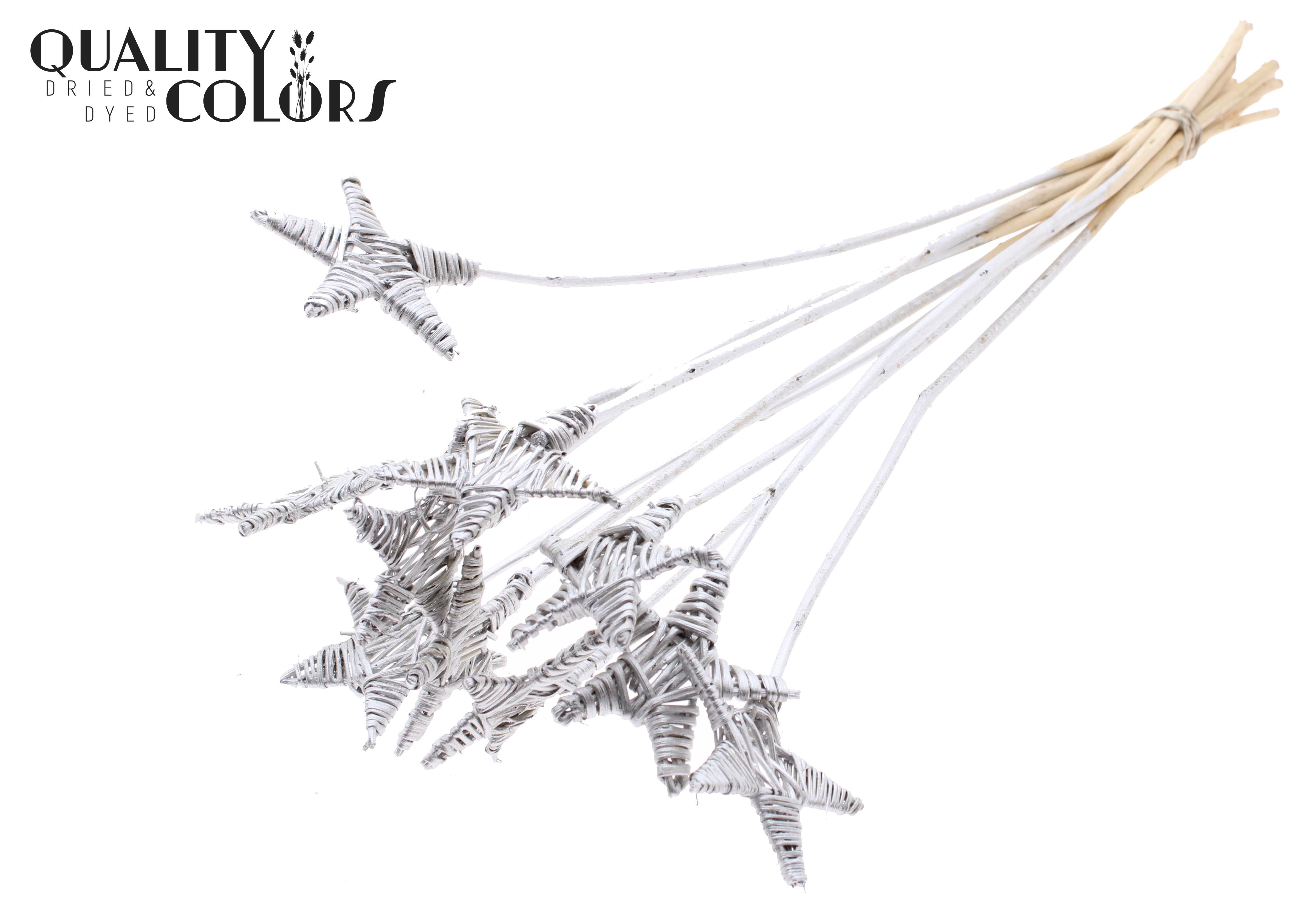 Lata Star Silver 50cm