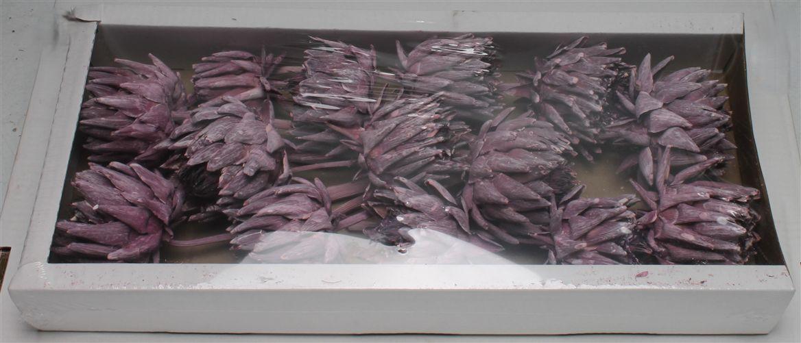 Artichoke Brombeer Frosted ( X 14 St )