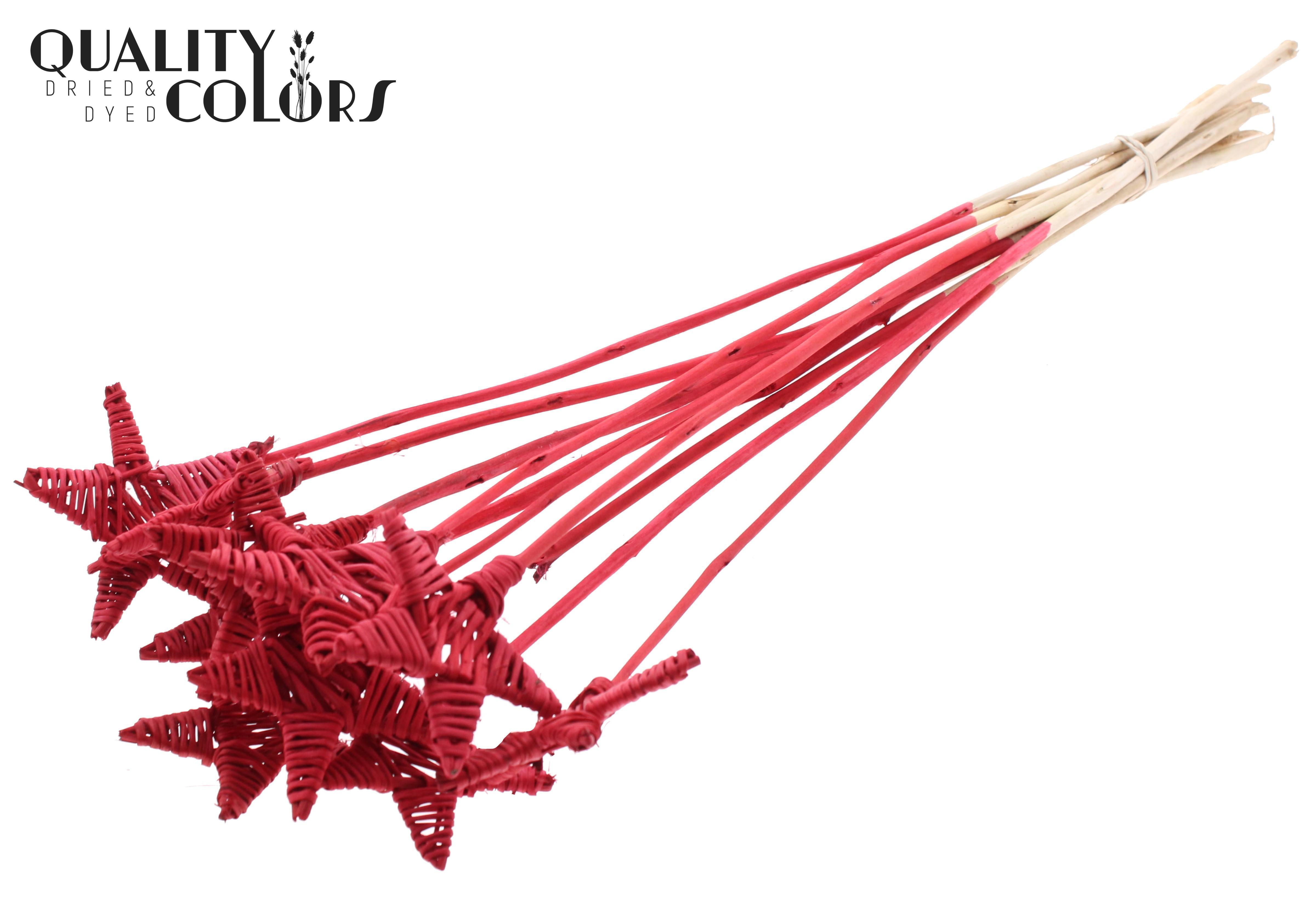 Lata Star Red 50cm