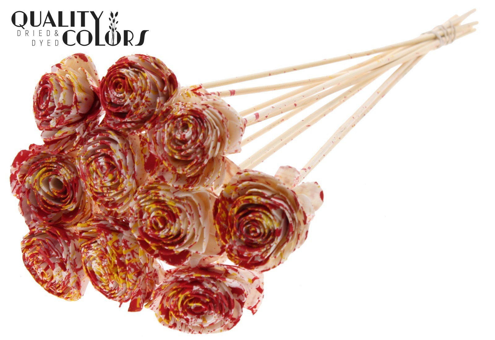 Shola Beauty Rose Red 50cm