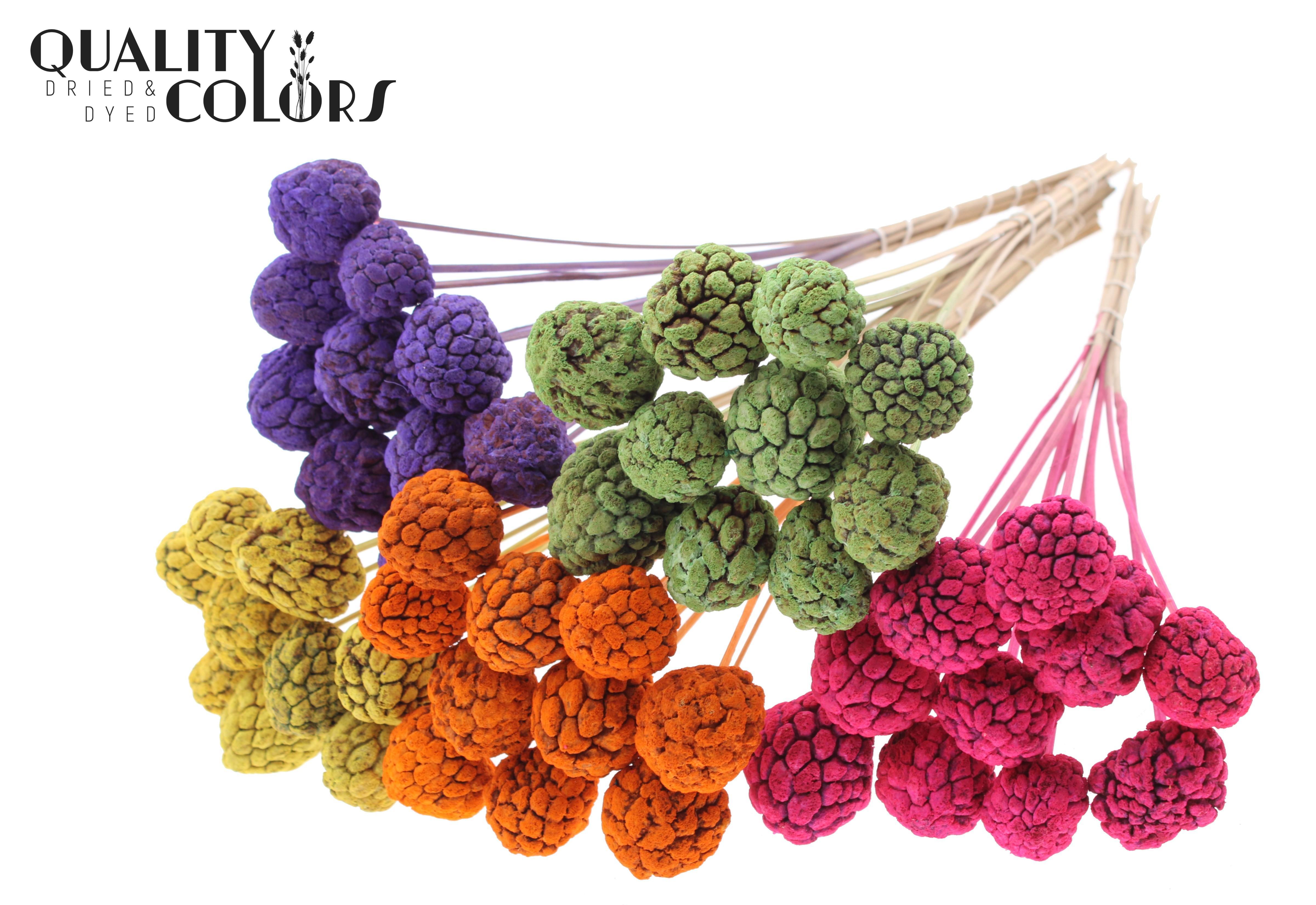 Atta Fruit Intense Mix 50cm