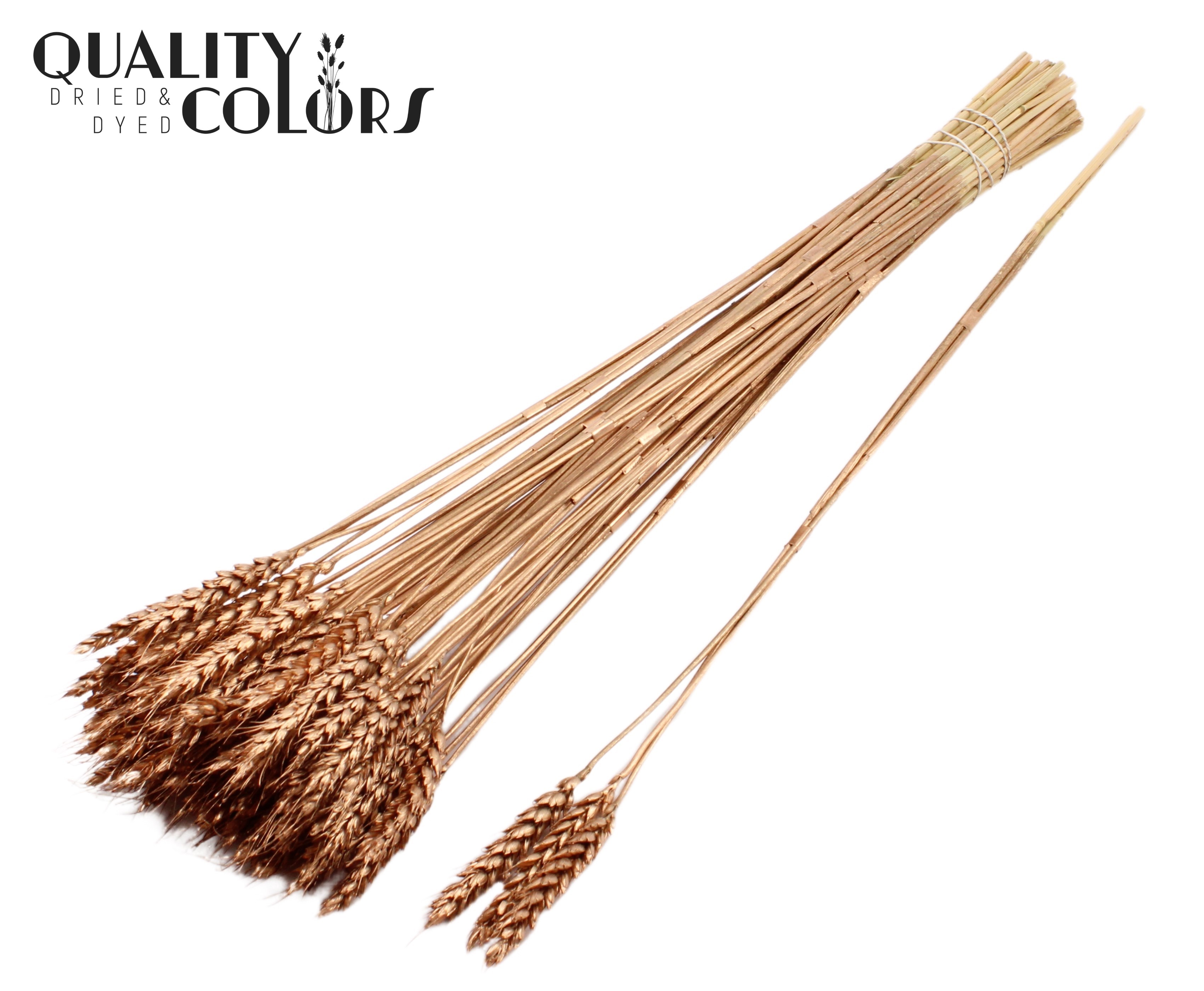 Triticum Tuft Antique Gold 55cm