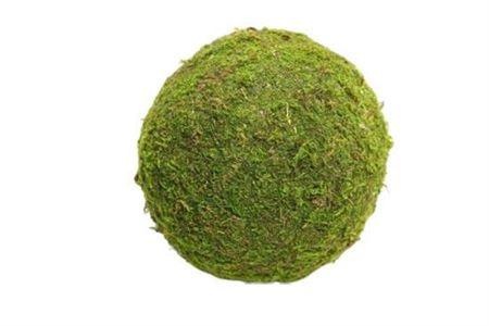 Ball Asia Moss 15cm Green