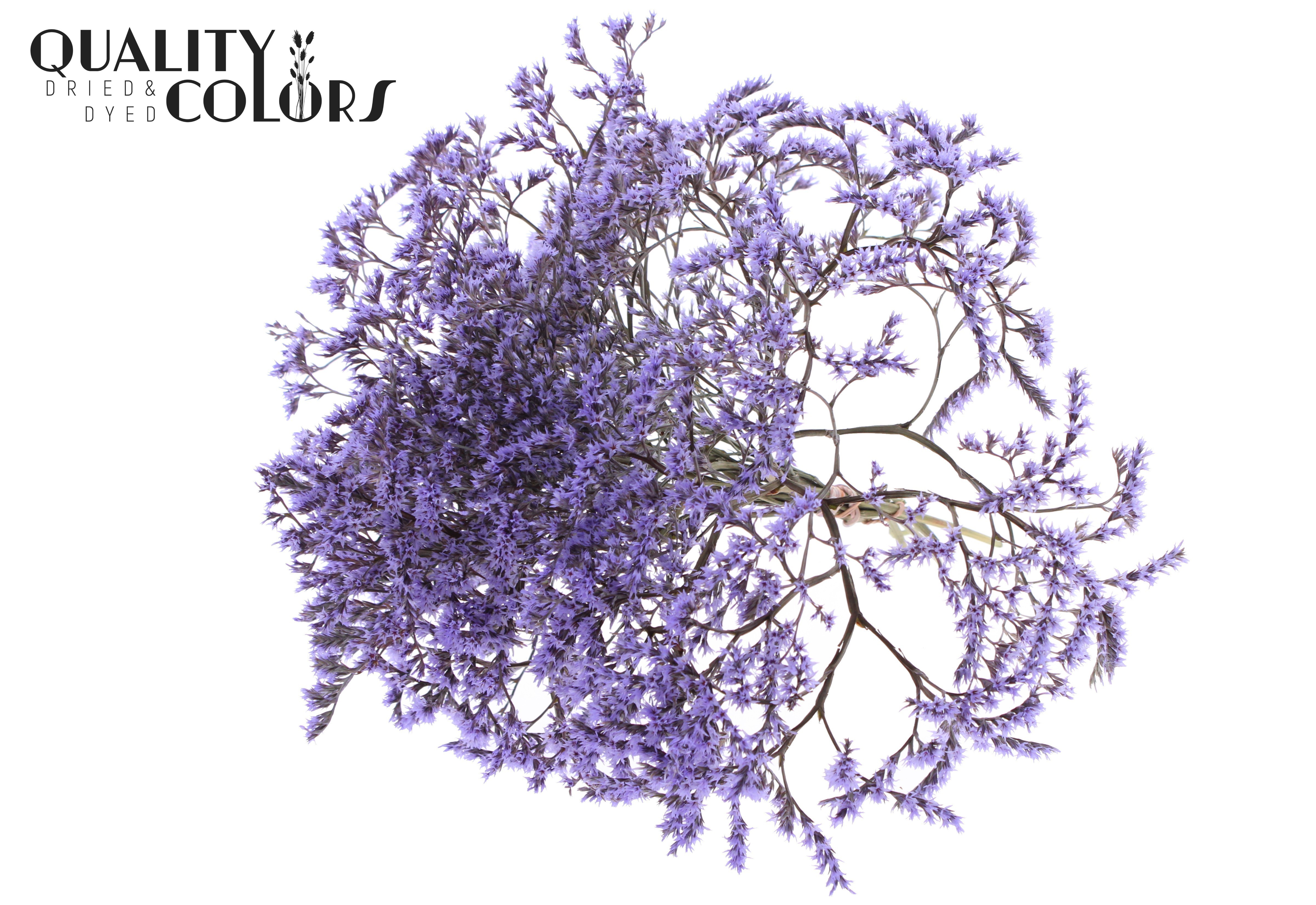Limonium Tataricum Milka Per Bunch 30cm 45gr.