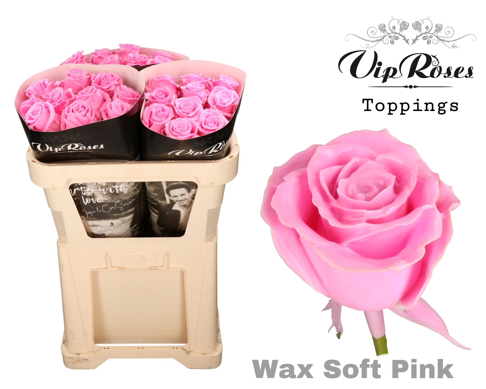 Rosa Waxed 70cm