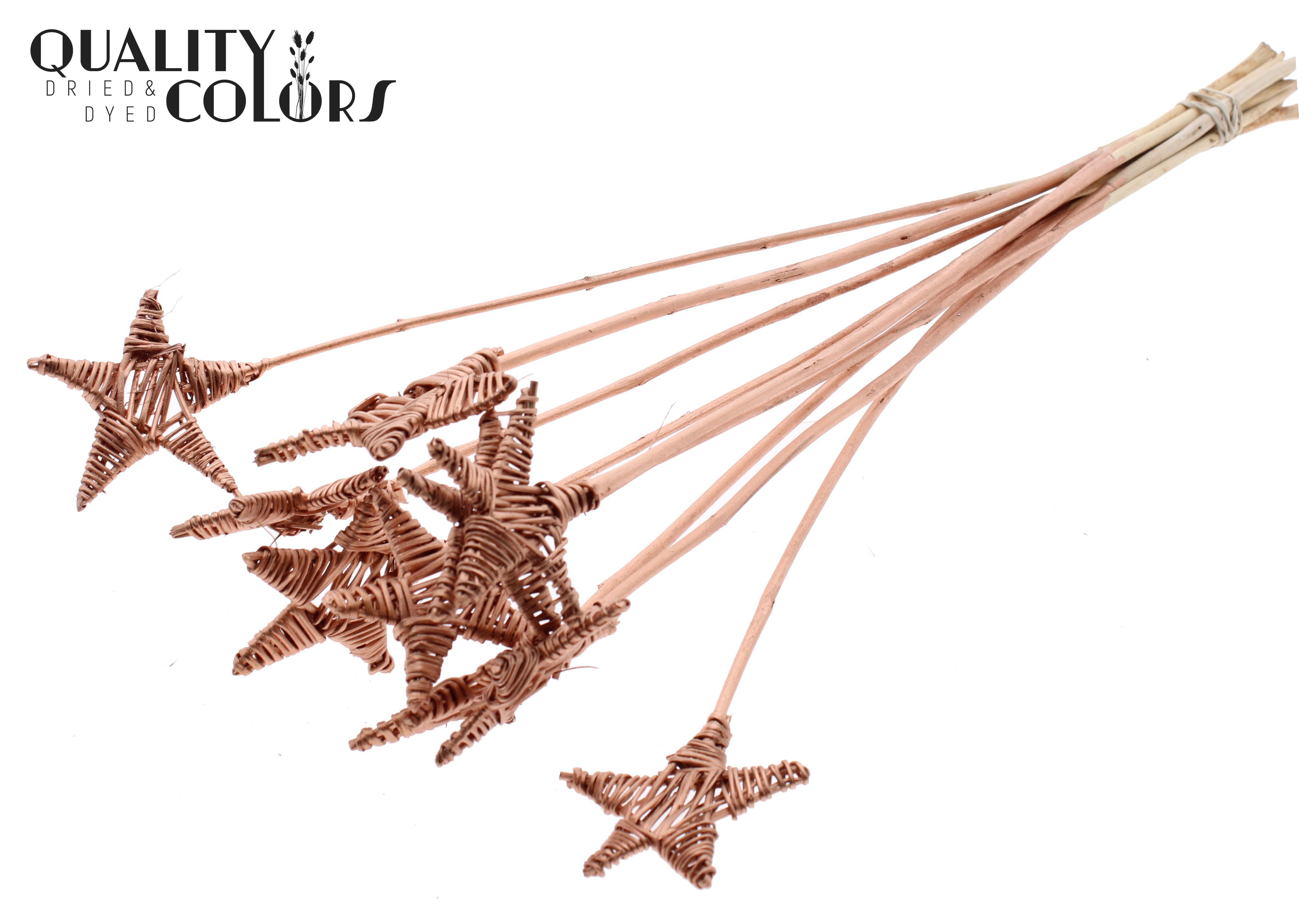 Lata Star Copper 50cm