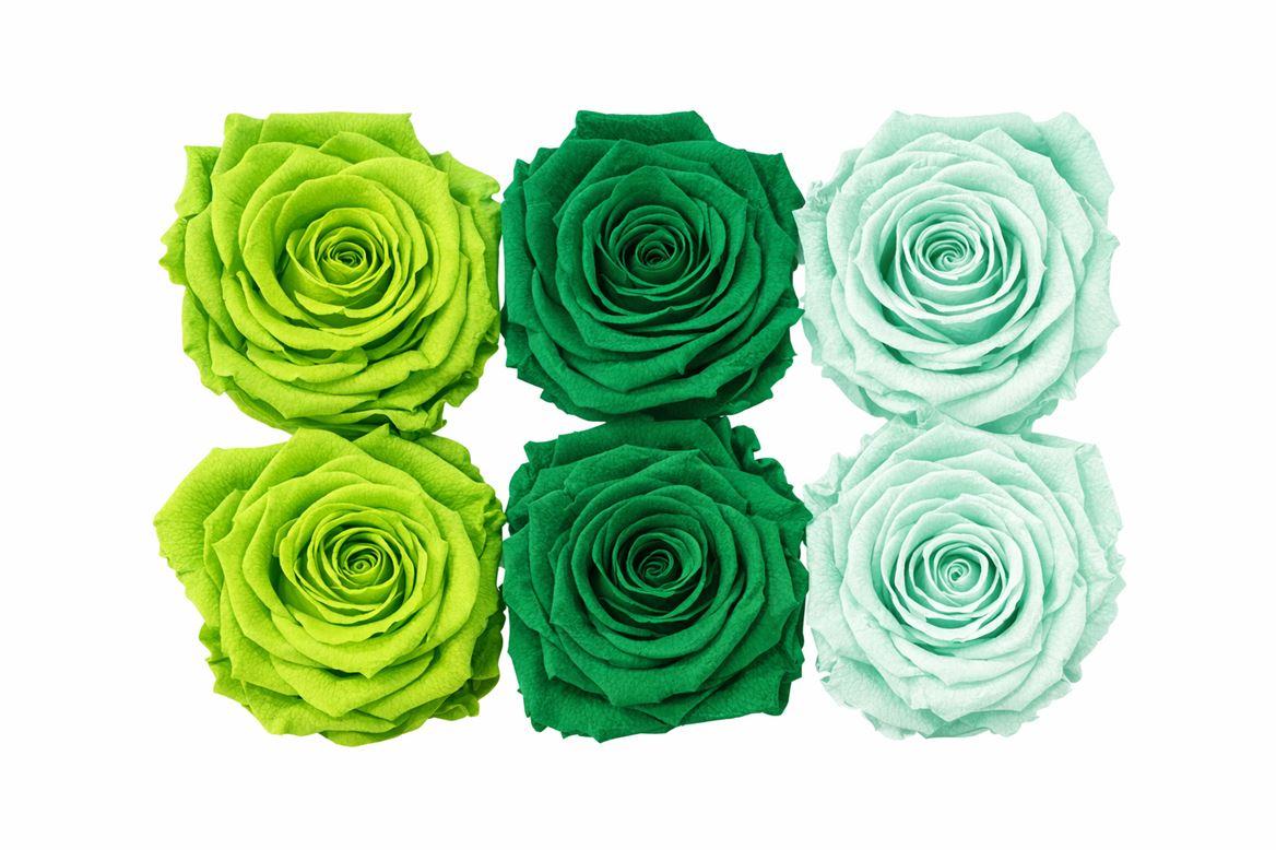 Ro Pres Classic Mix Green