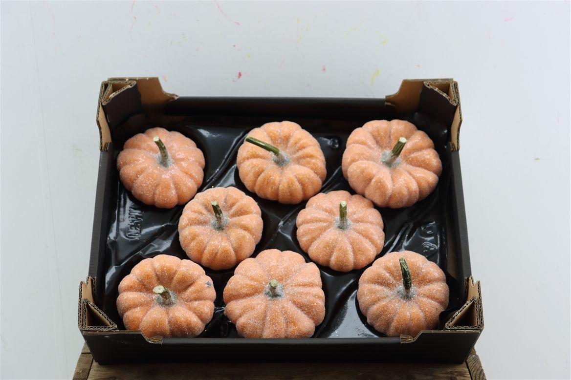 Wax Sierfruit Pumpkin Glitter