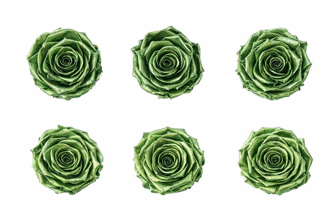 Ro Pres Metallic Green