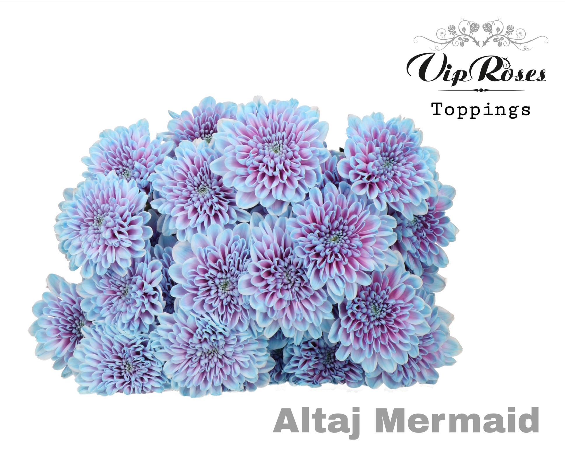 Chr T Altaj Mermaid 65 cm