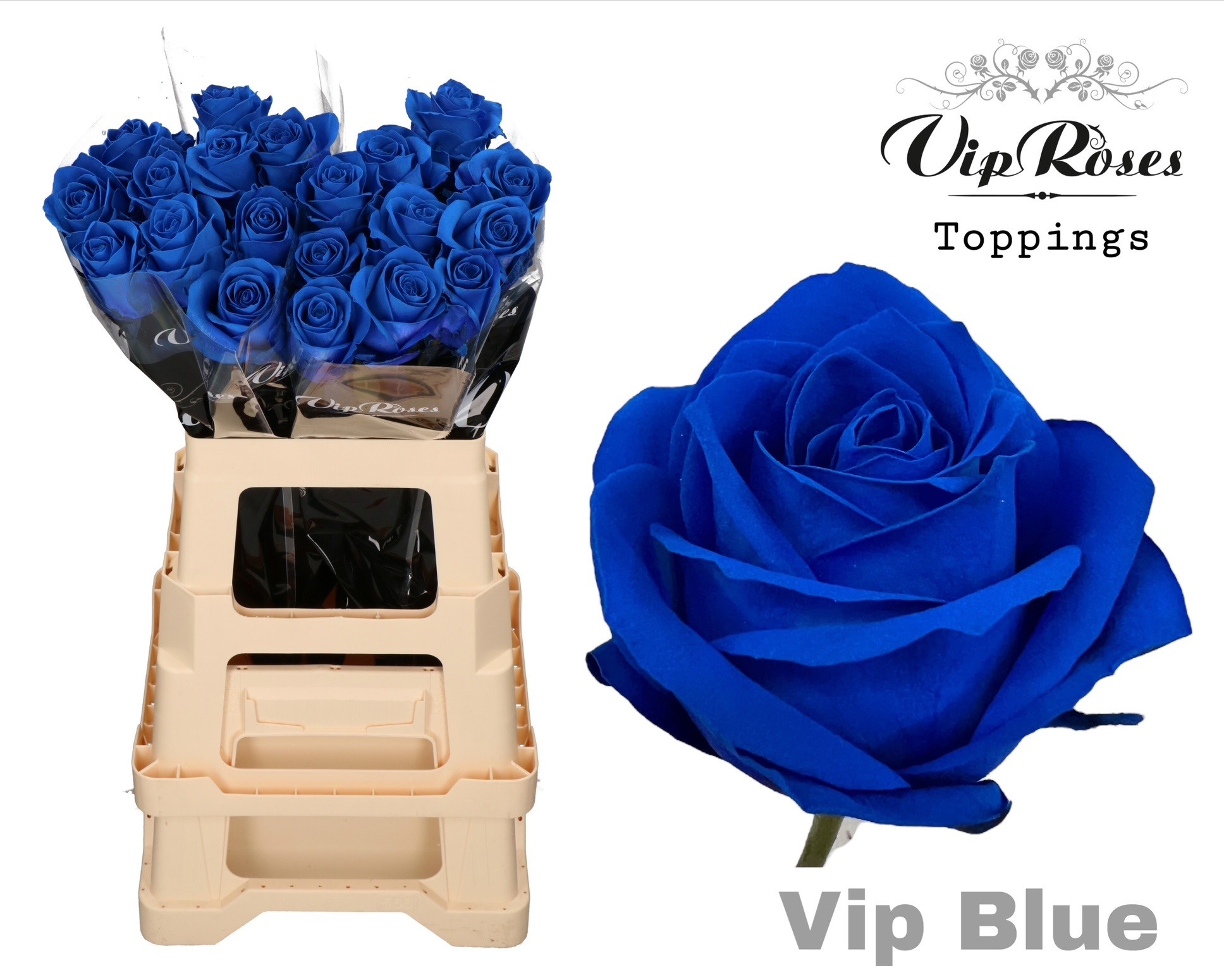 R Gr Vip Blue 65cm X40 65 cm