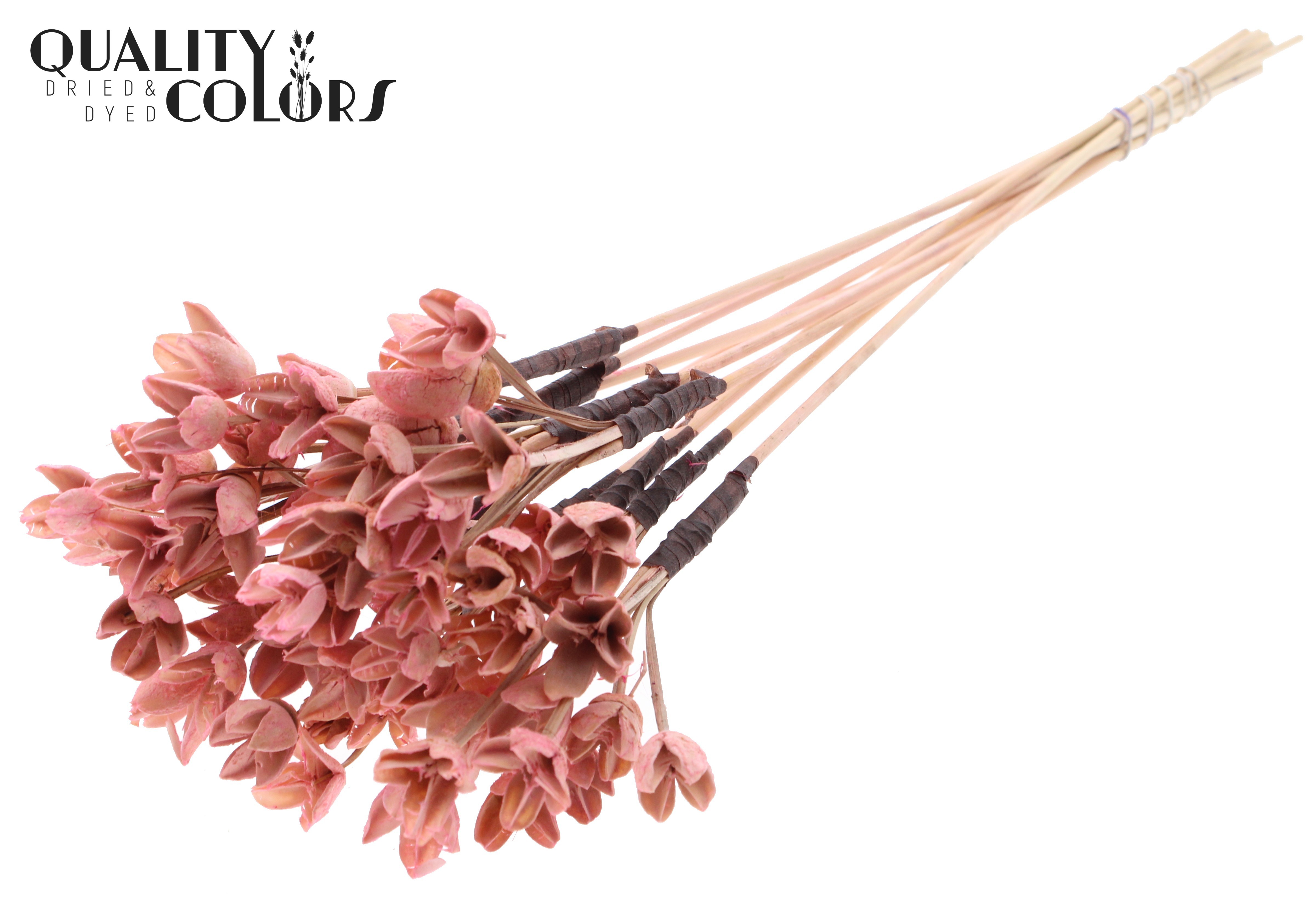 Bakuli Intense Light Pink 50cm