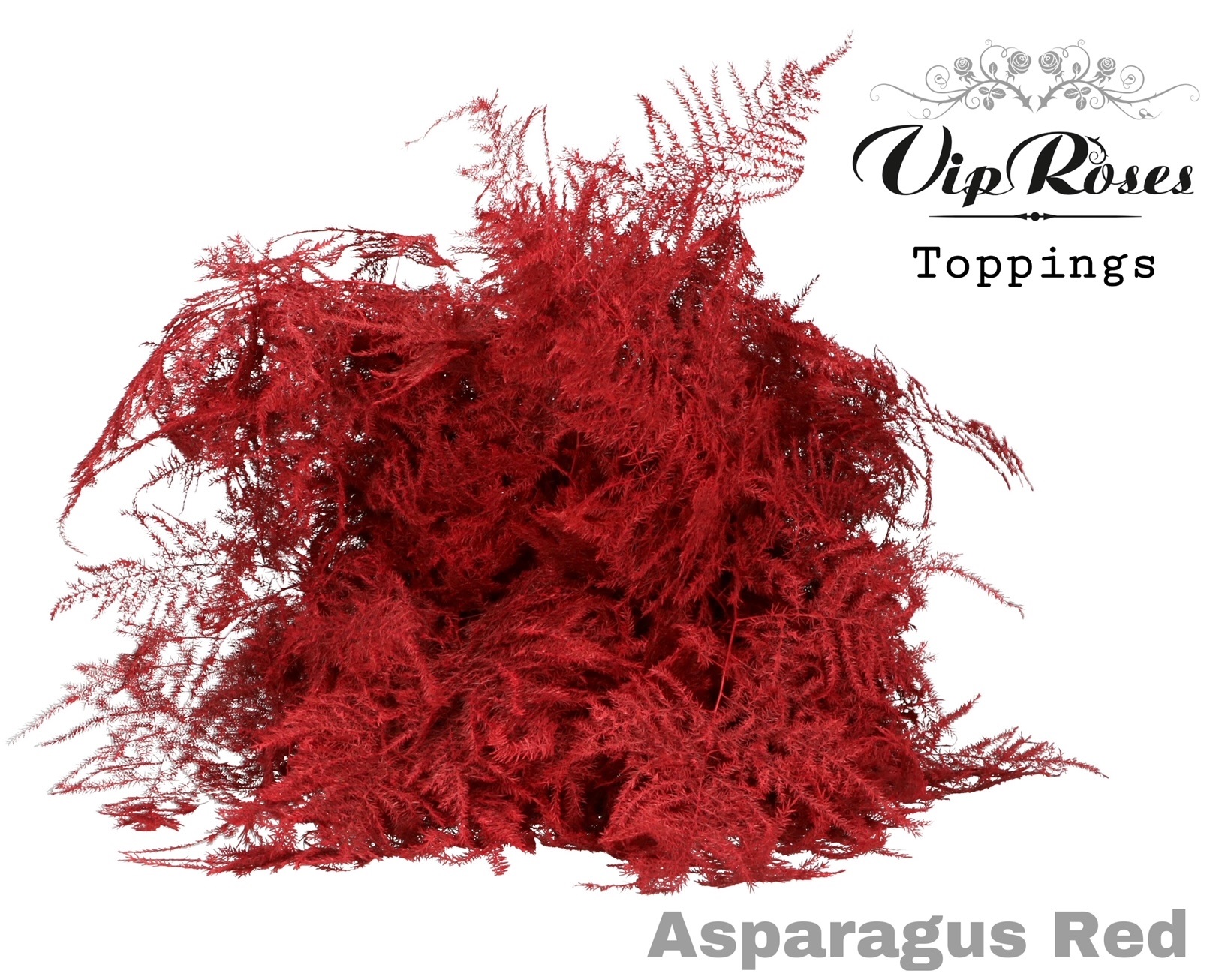 Asp Ov Getopt Lang Red