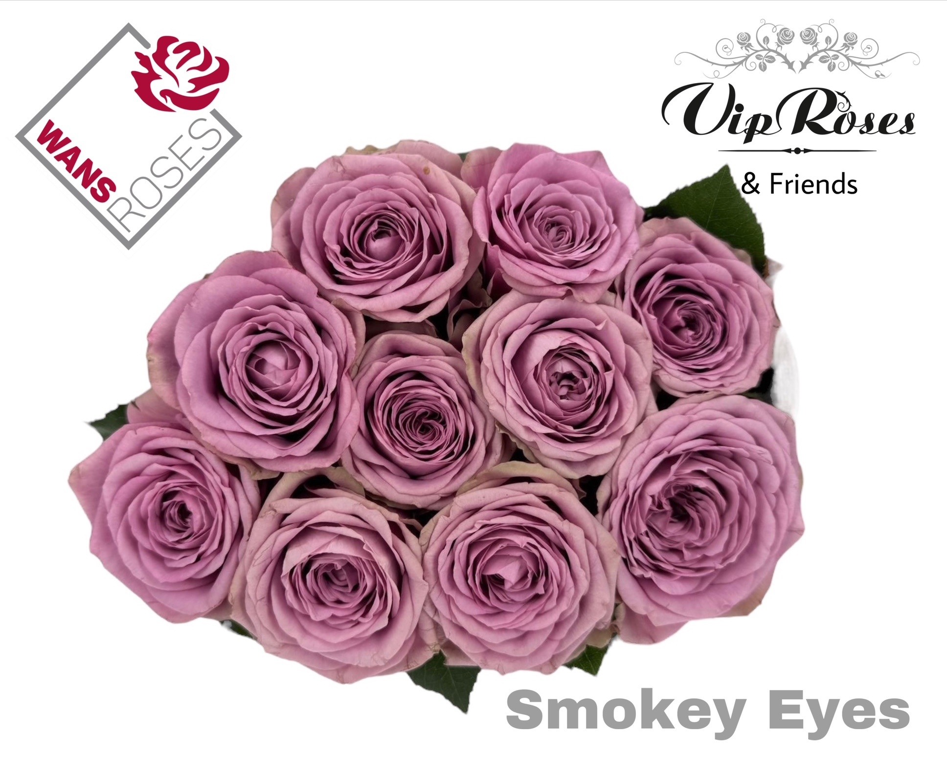 R Gr Smokey Eyes