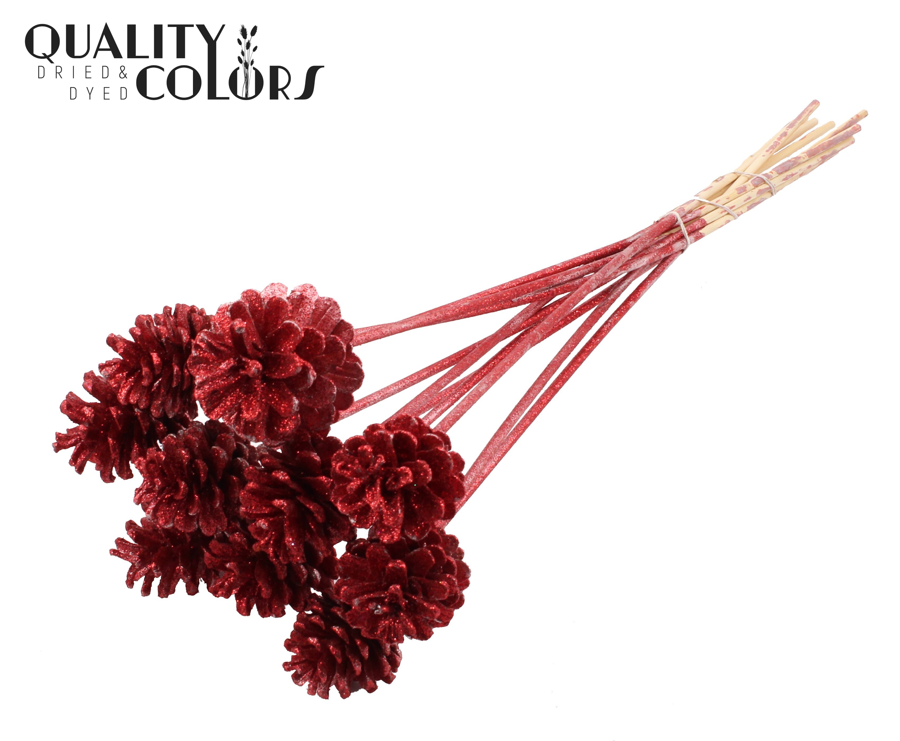 Pine Cone Red + Glitter 50cm