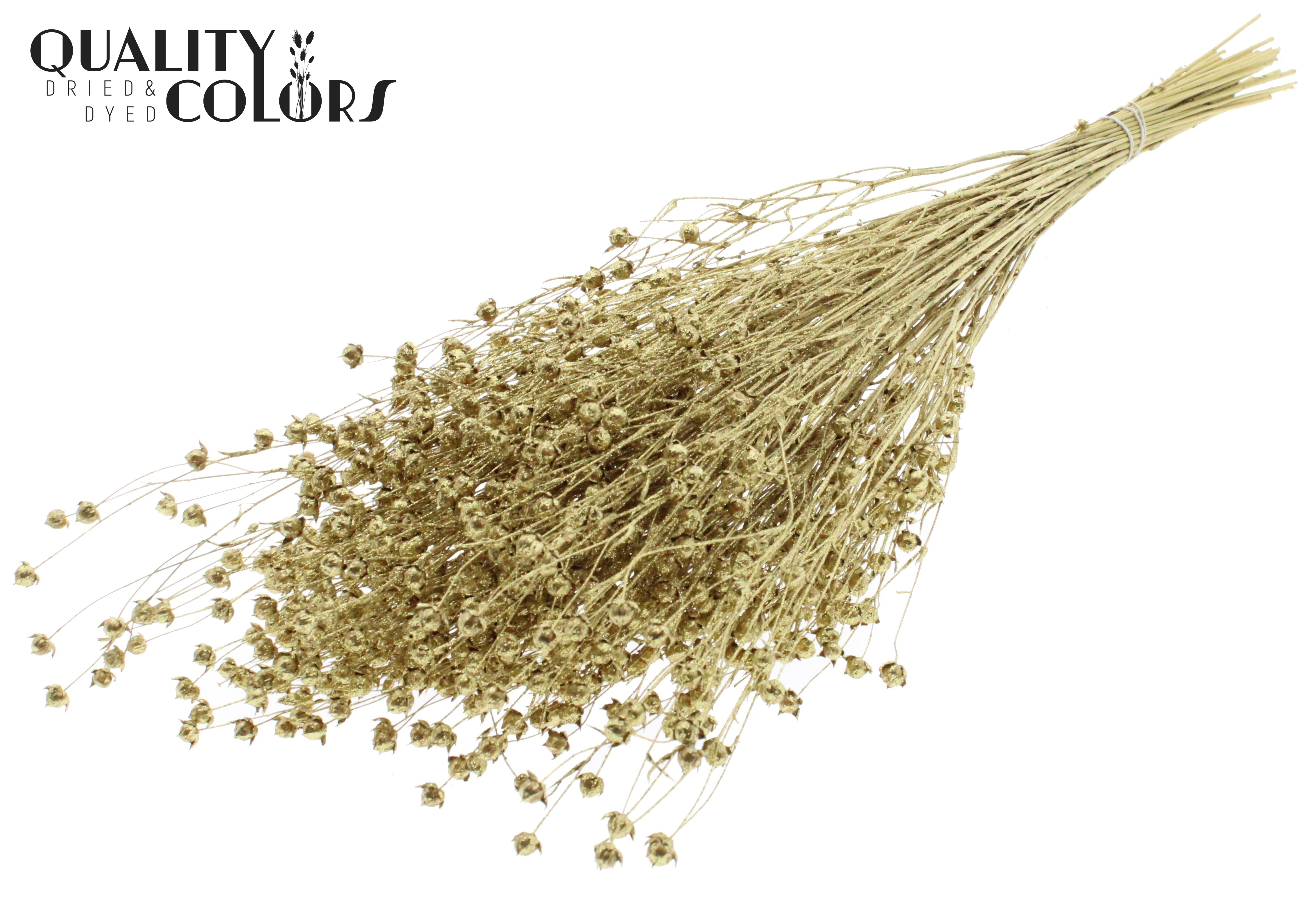 Lino Flax Gold + Glitter Per Bunch 50cm
