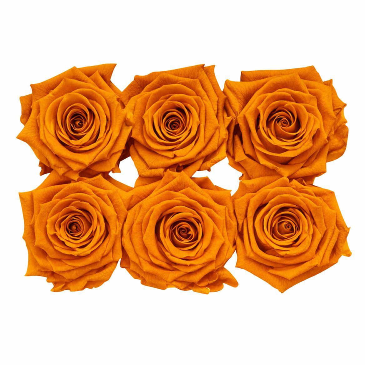 Ro Pres Classic Orange Lime