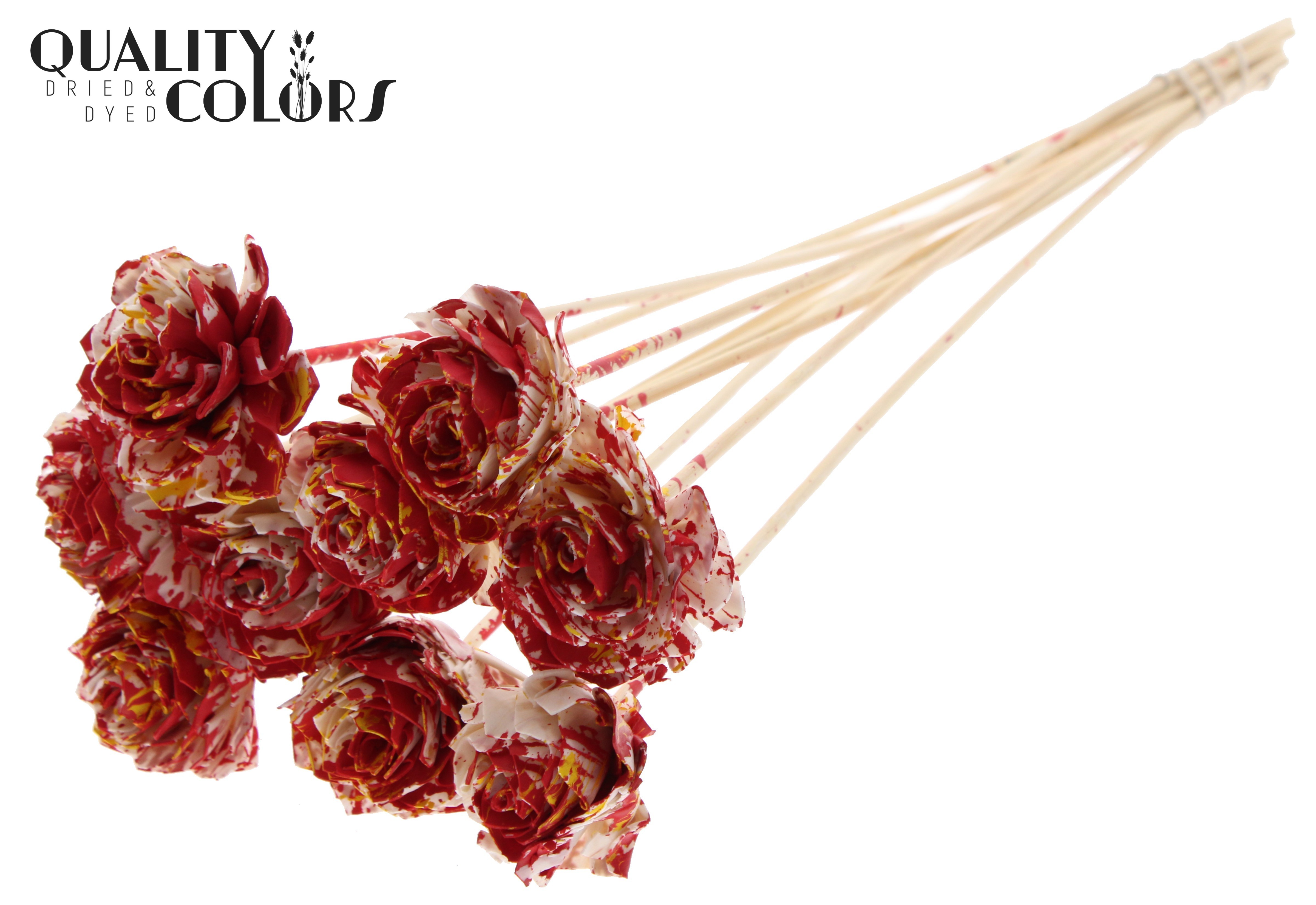 Shola Dhaliya Multicolour Red Yellow 50cm