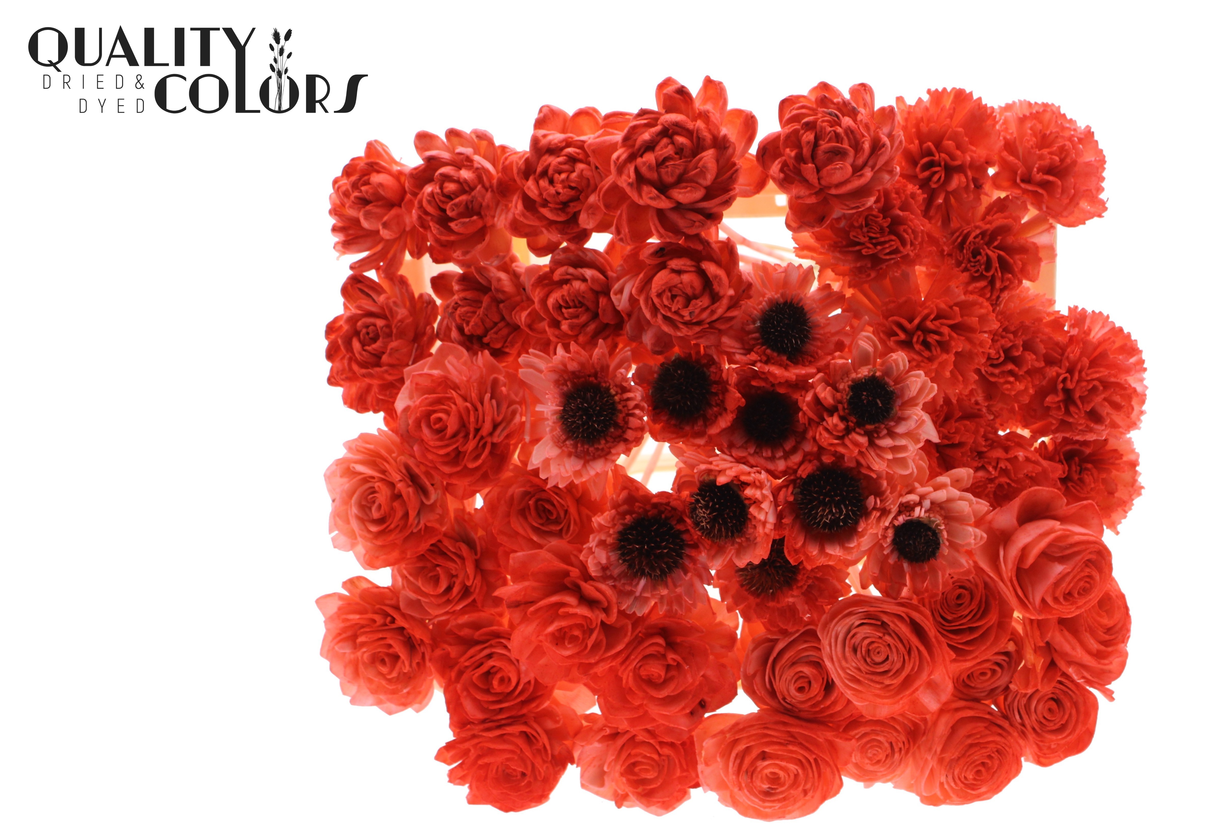 Shola Mix Coral 50cm