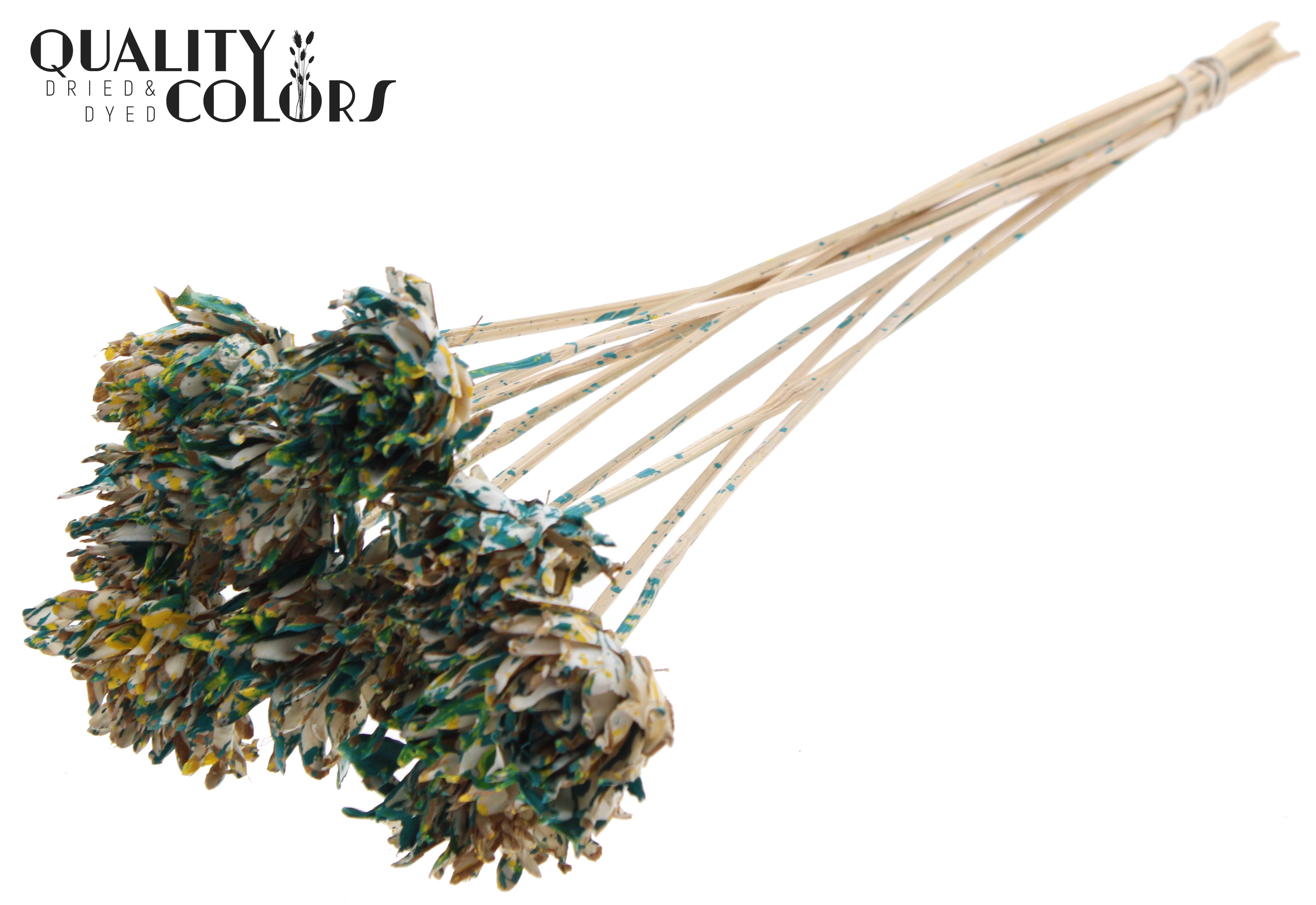 Shola Slice Pine Multicolour Green Yellow 50cm