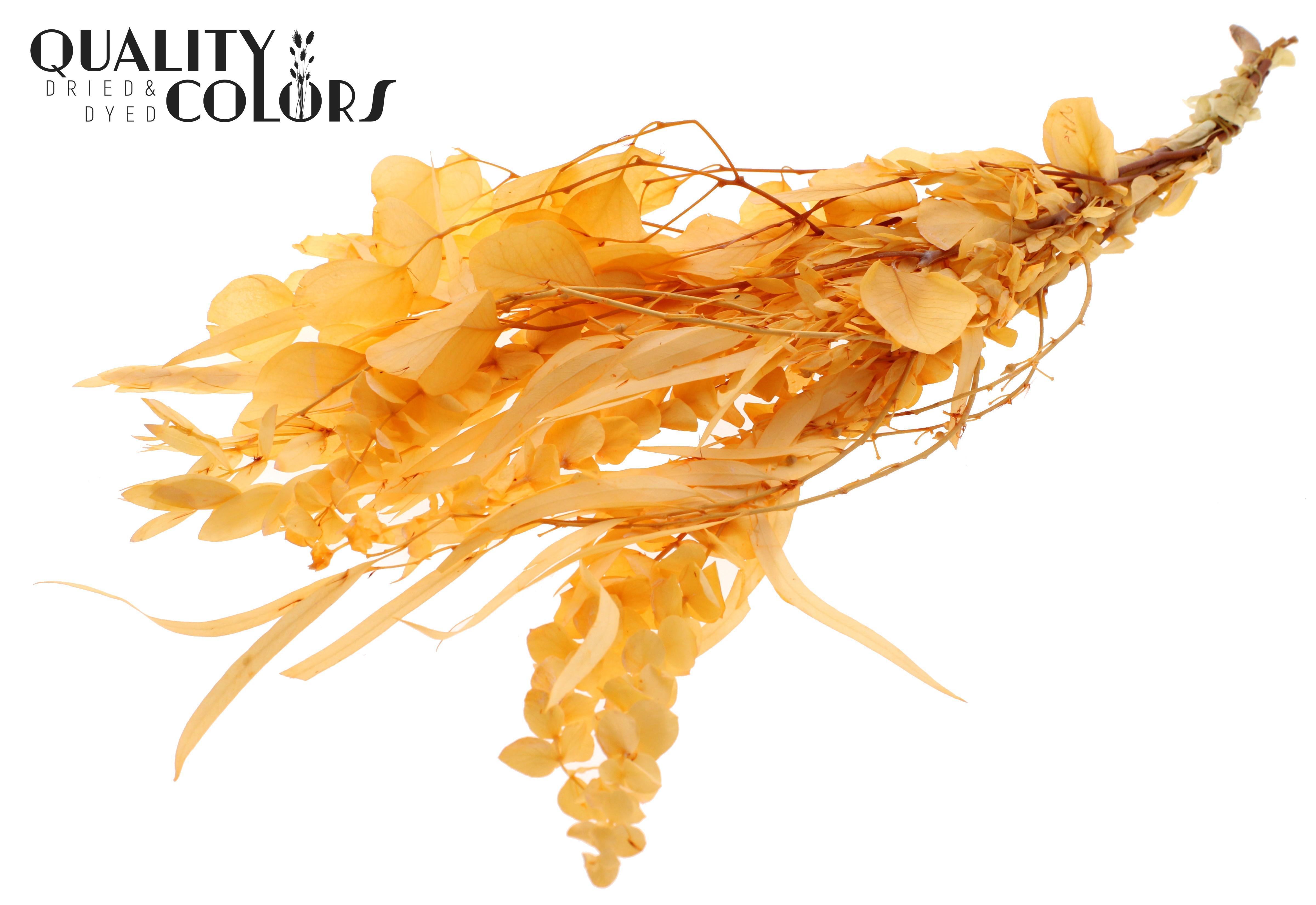 Eucalyptus Salmon Mix Per Bunch 65cm 150gr.