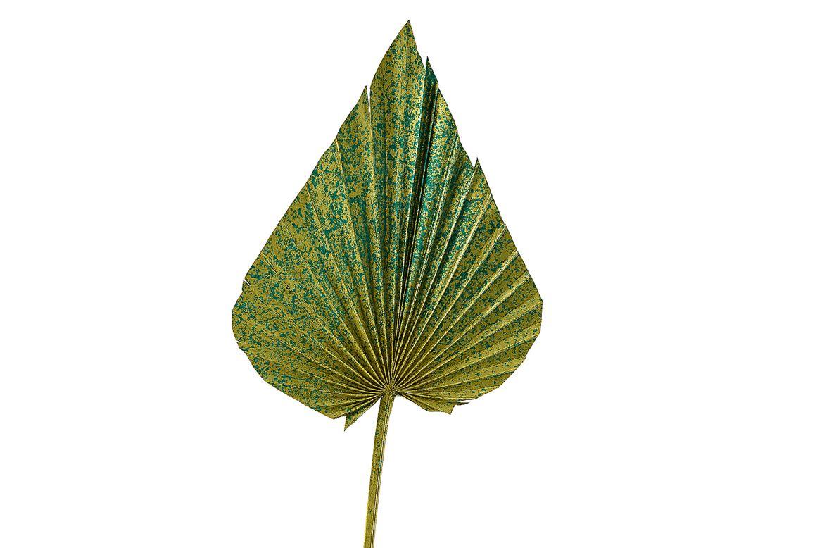 Dried Artz Palm Spear Xl Van Gogh P Stem