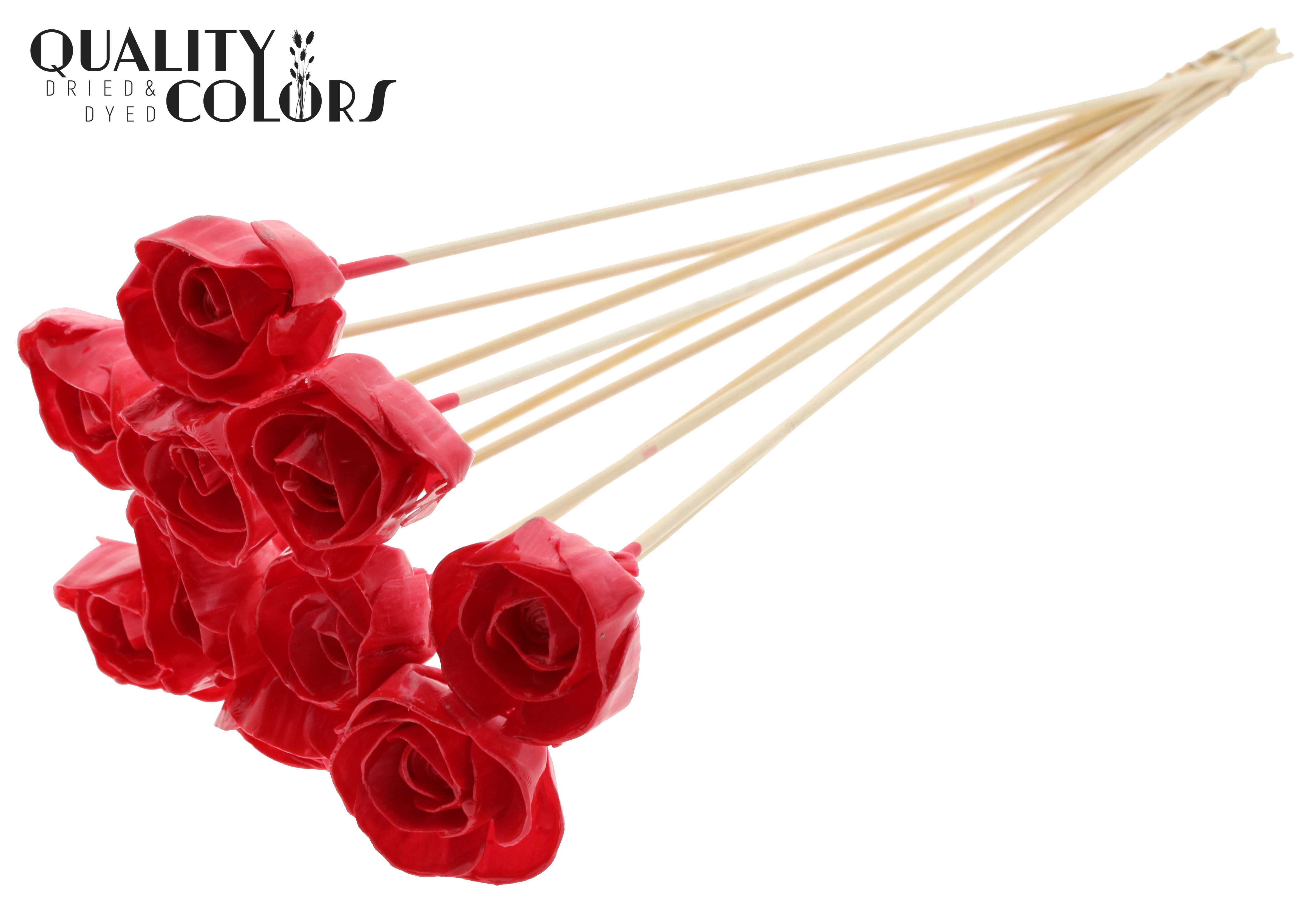 Shola Dear Holly Wax Red 50cm