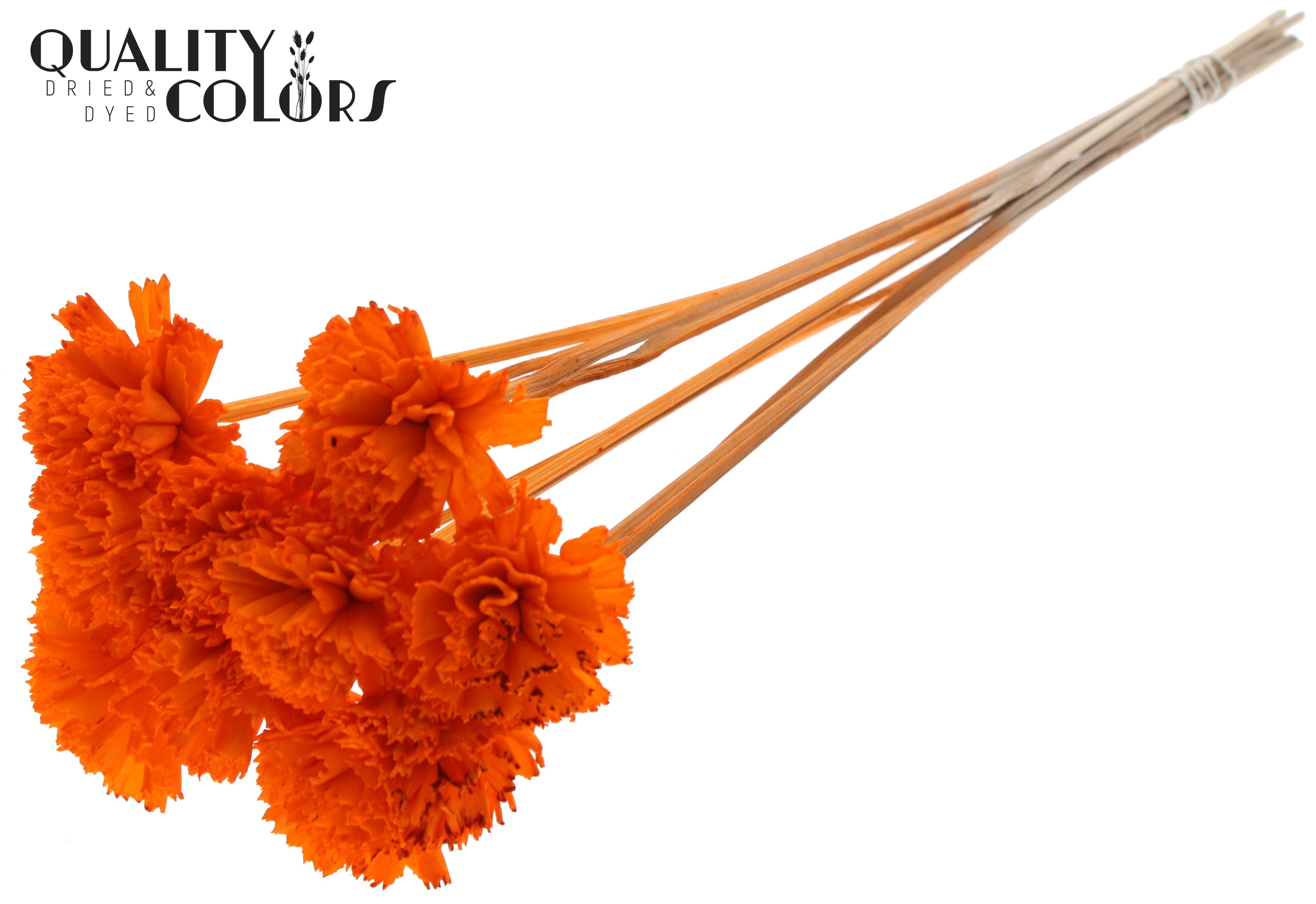 Shola Karnish Flower Orange 50cm