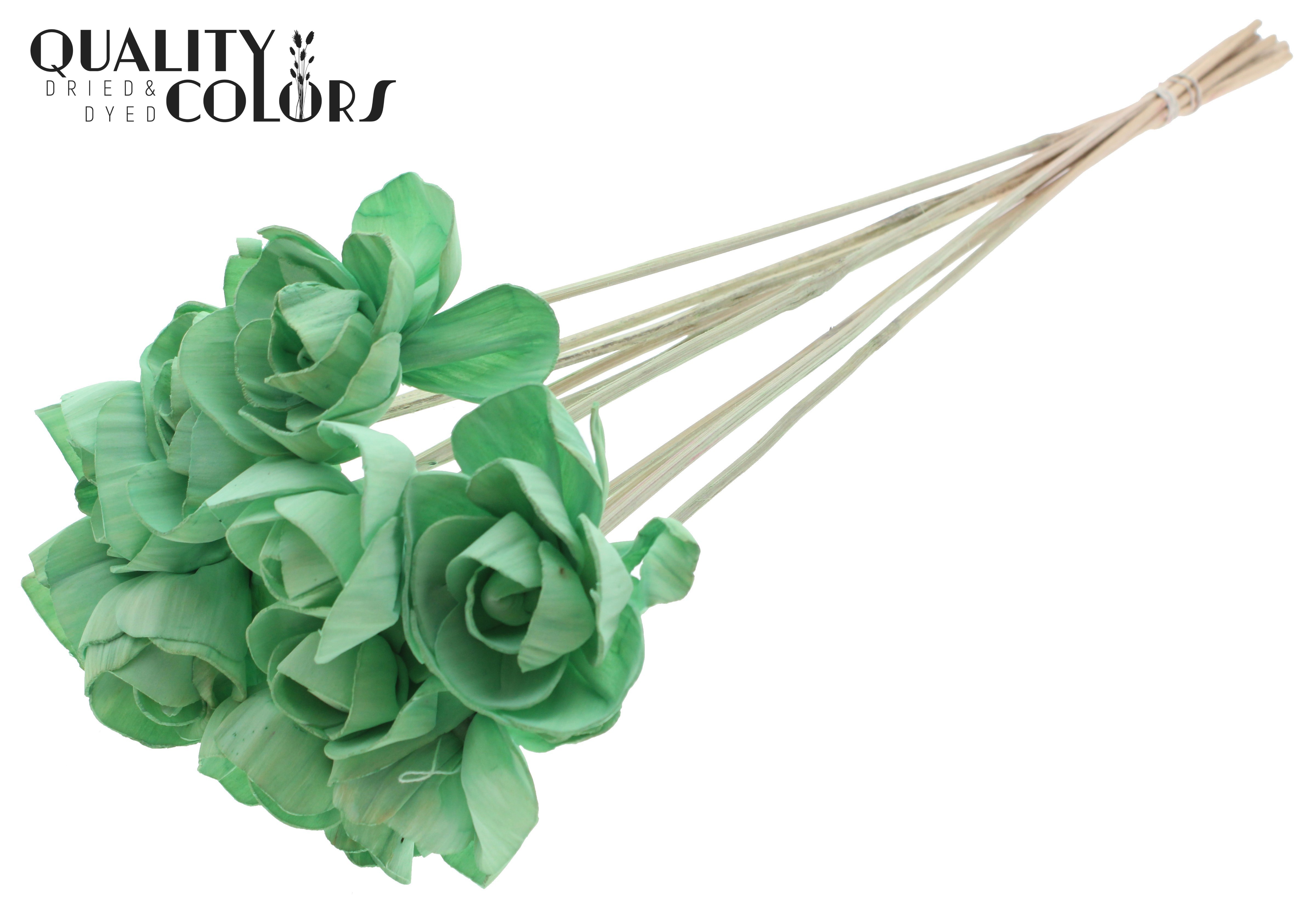 Shola Dear Holly Mint Green 50cm