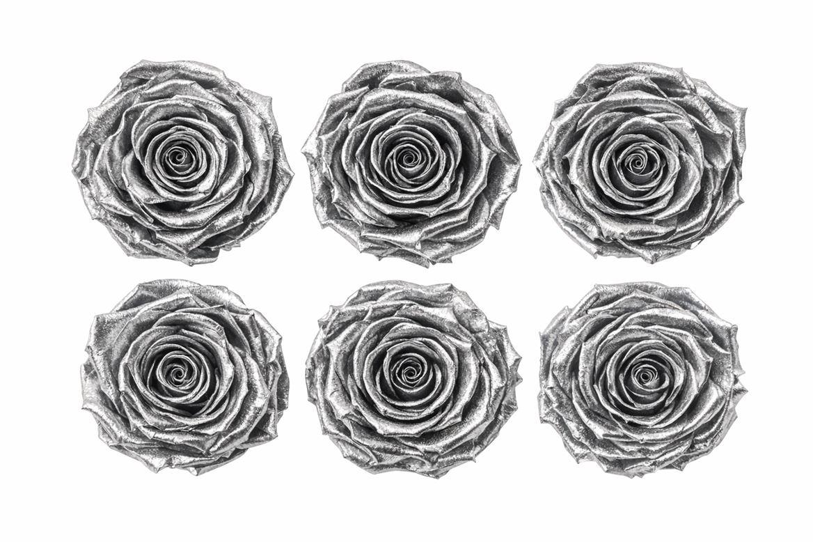 Ro Pres Metallic Silver