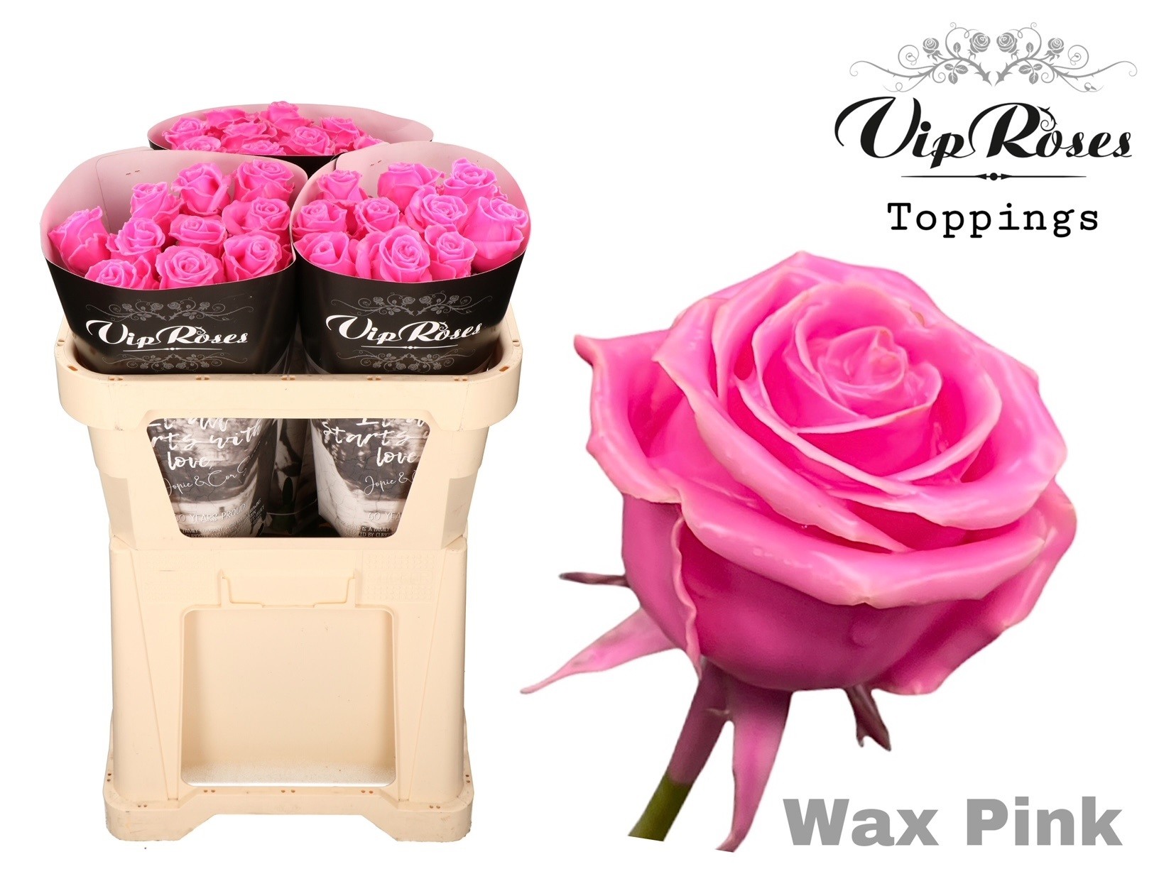 Rosa Waxed 70cm
