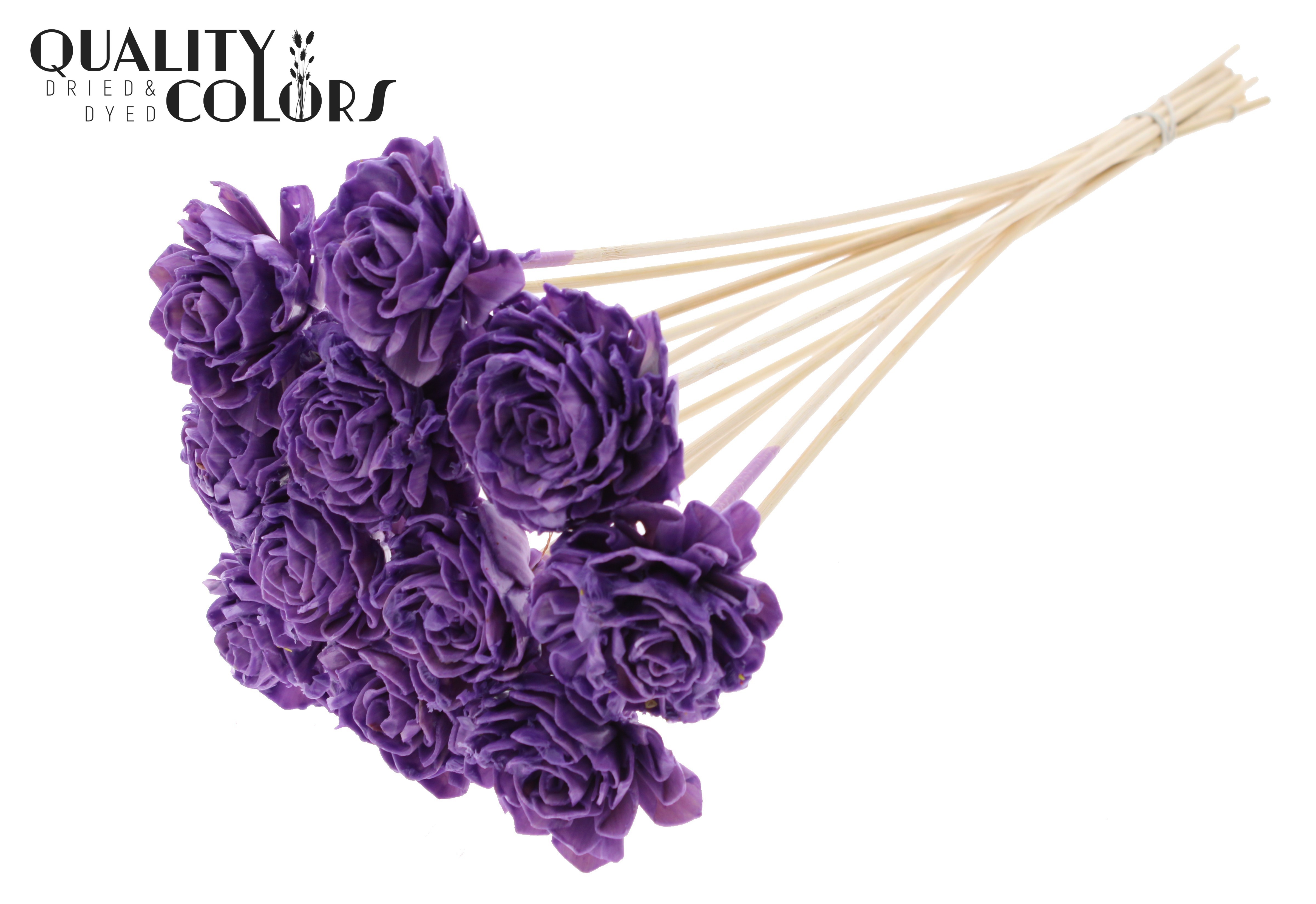 Shola Dhaliya Wax Milka 50cm