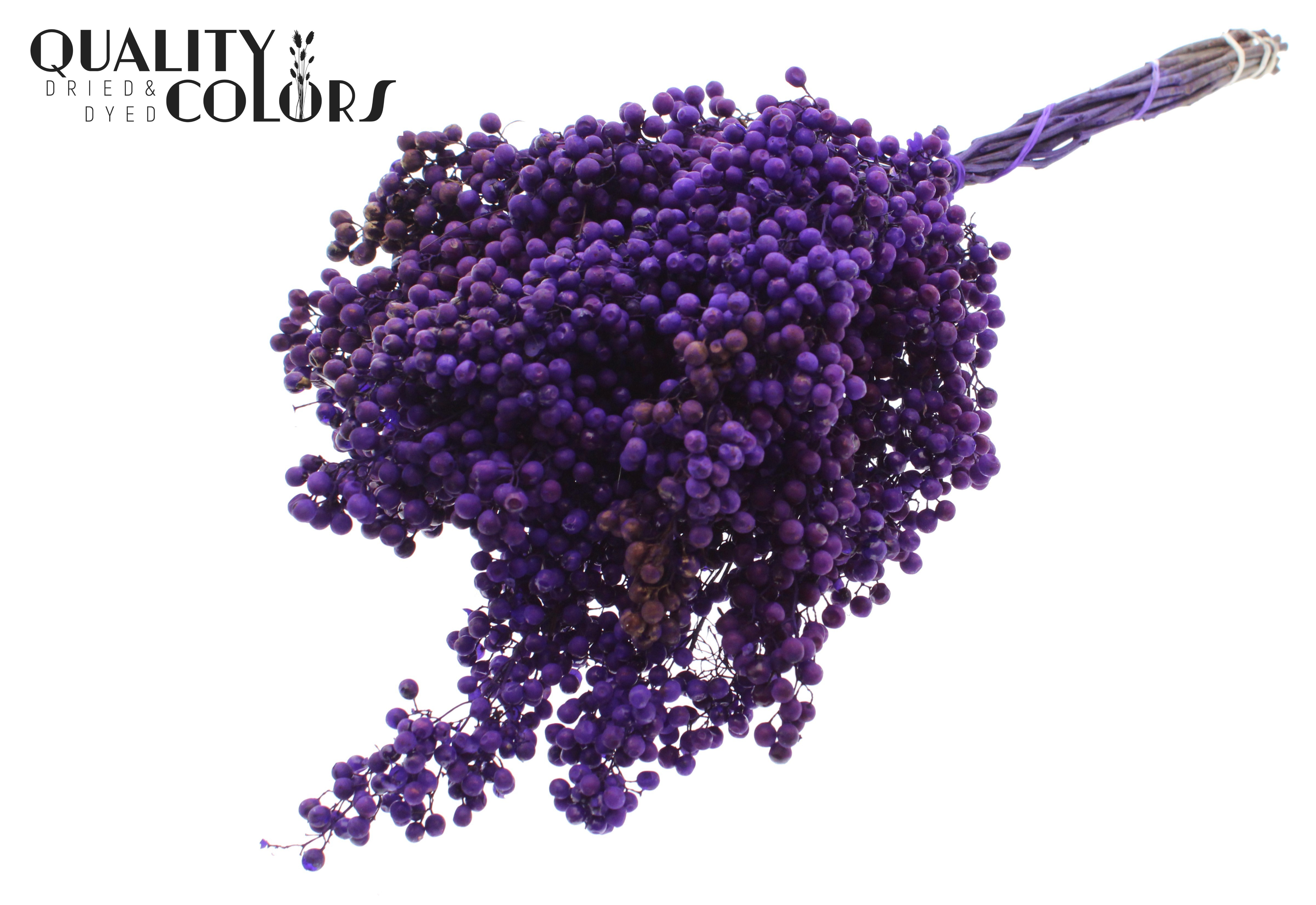 Schinus Mollis Purple Per Bunch