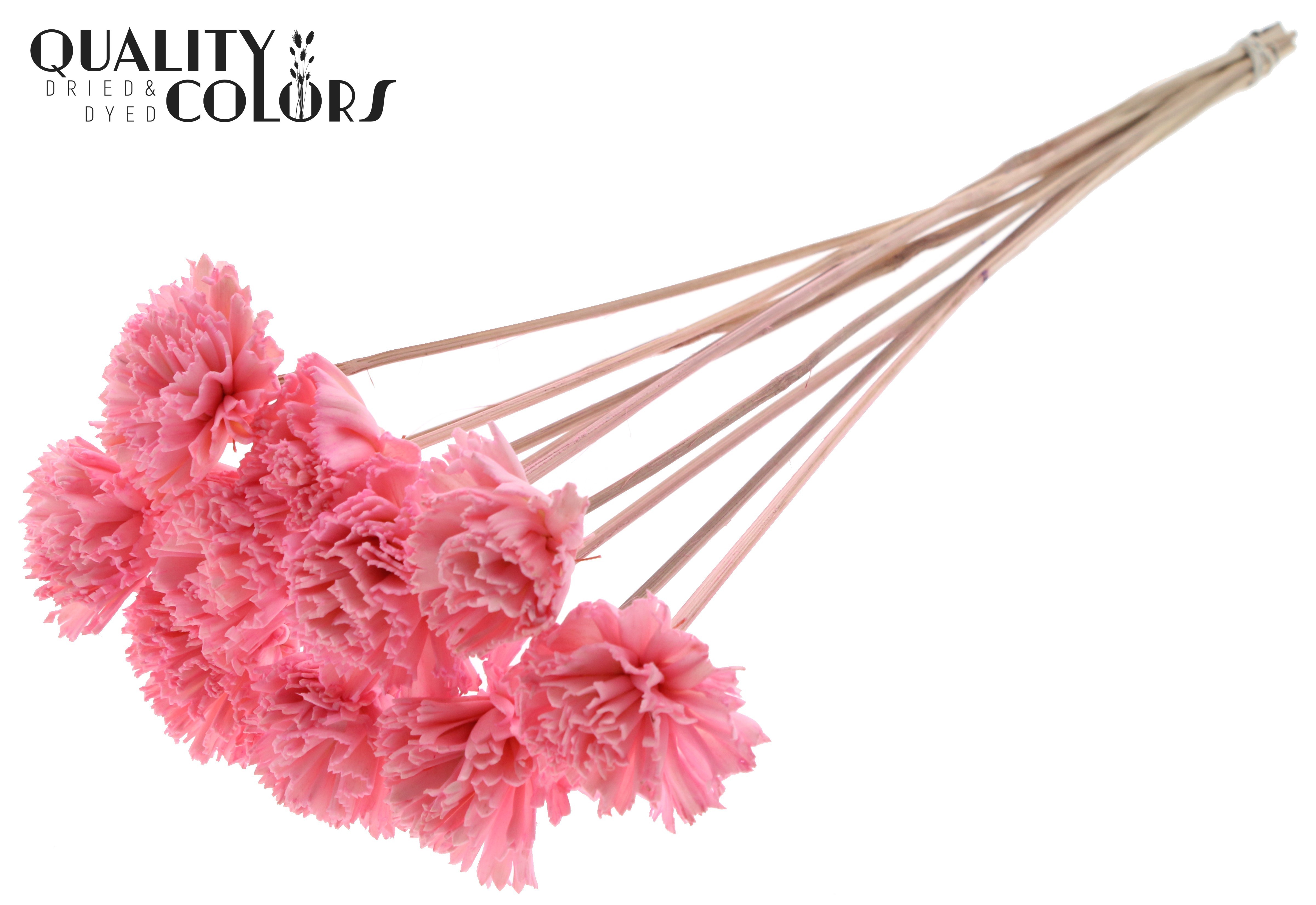 Shola Karnish Flower Light Pink 50cm