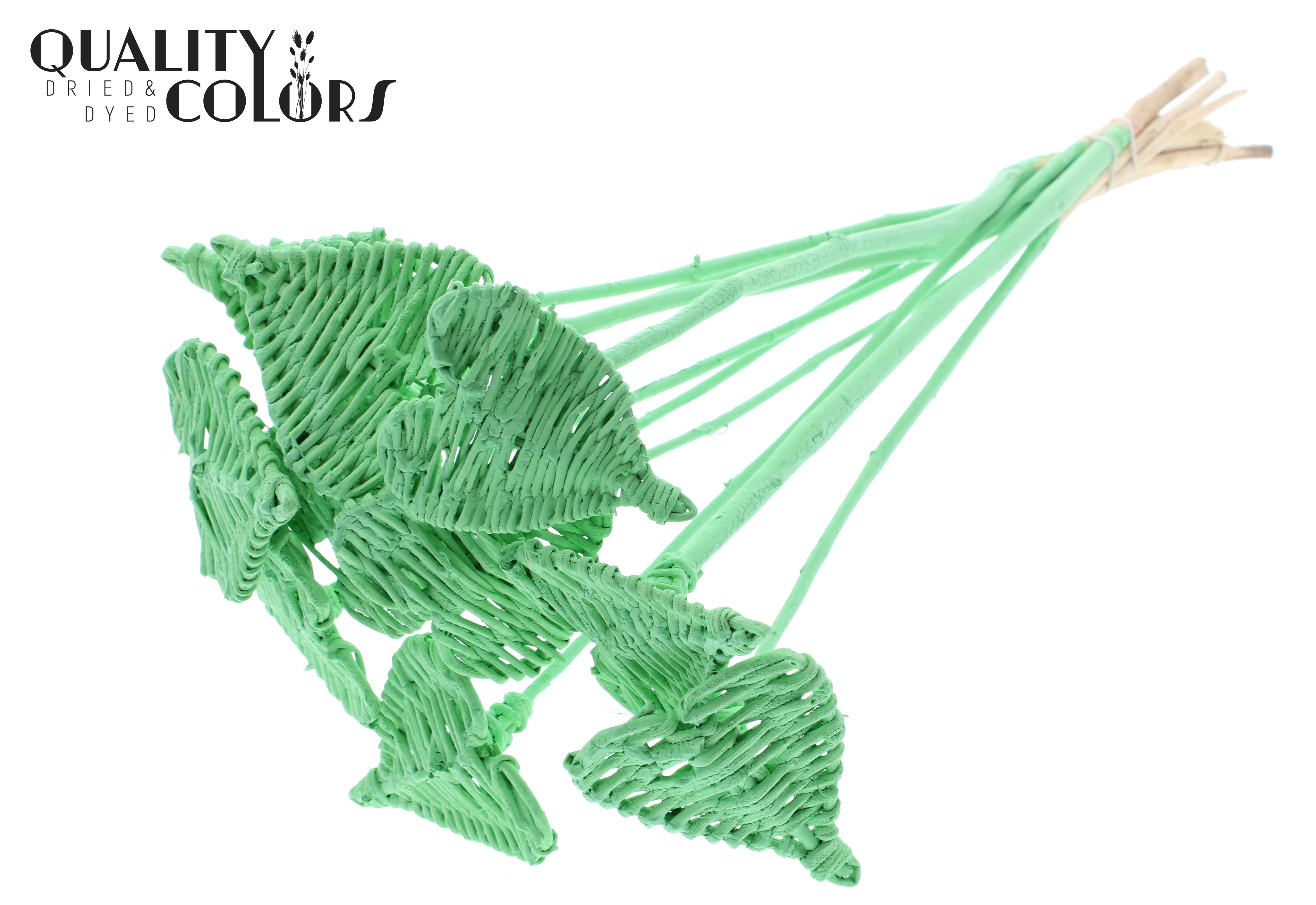 Lata Heart Mint Green 50cm