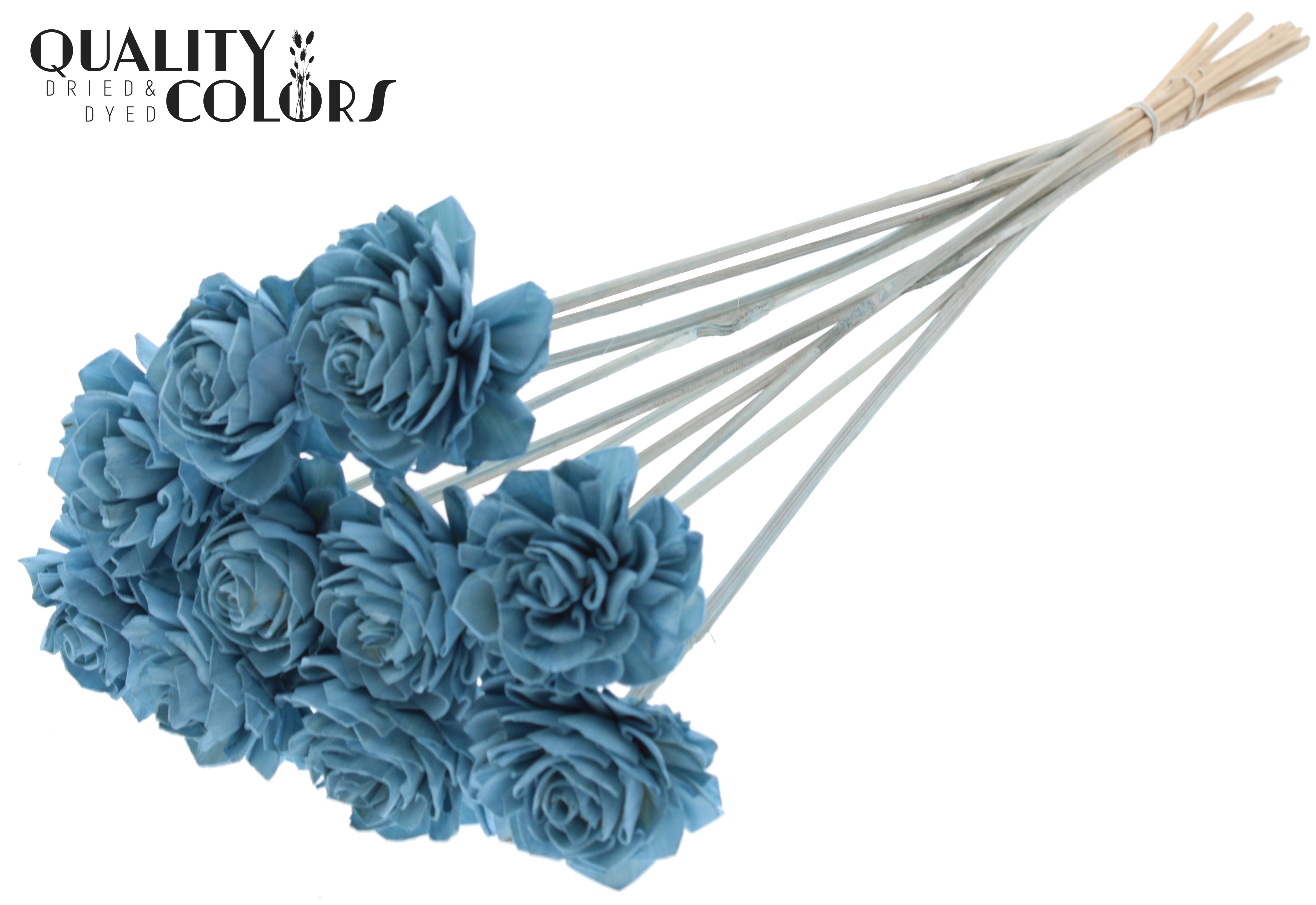 Shola Dhaliya Light Blue 50cm