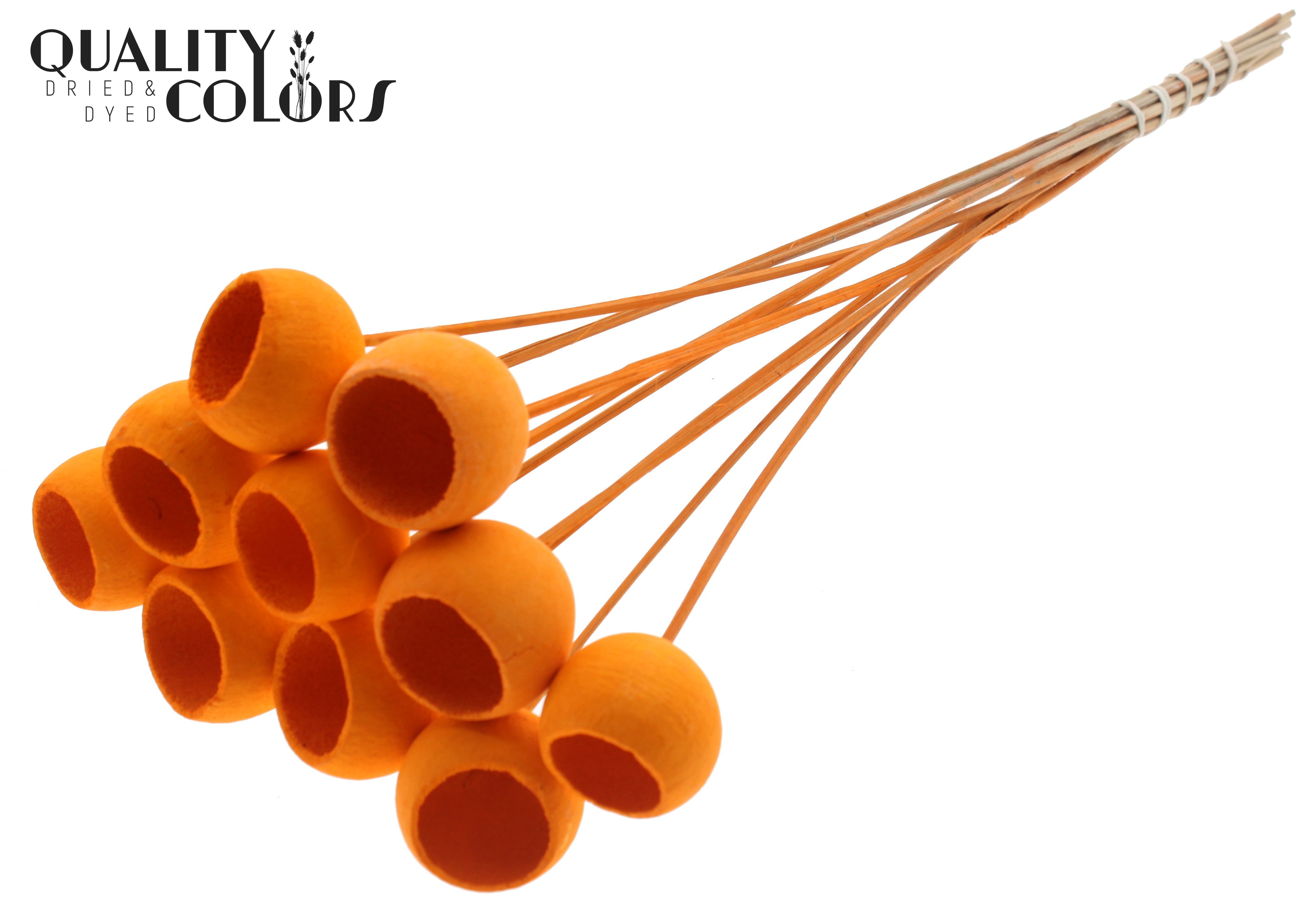 Bell Cup Intense Orange 50cm