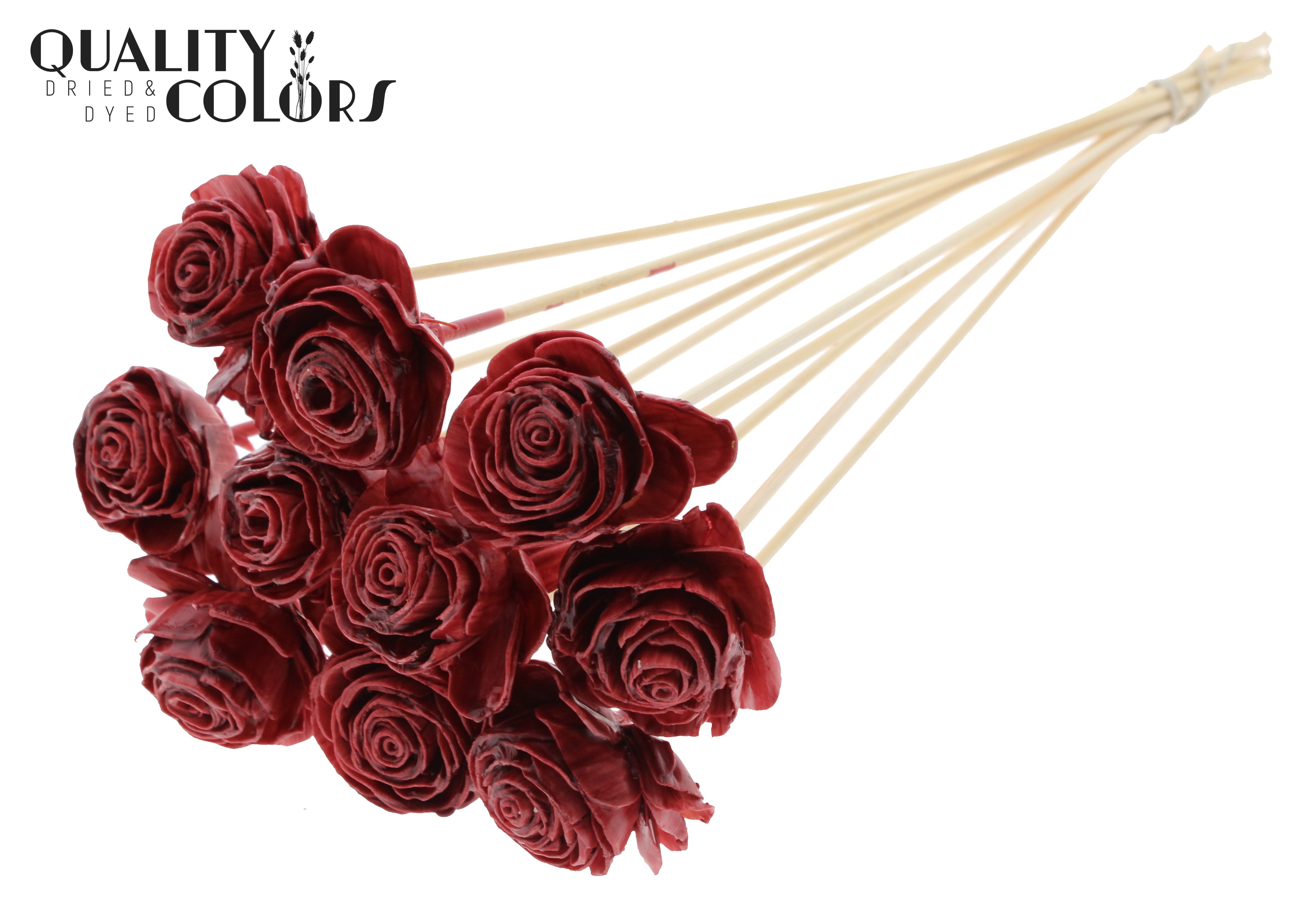Shola Beauty Rose Wax Burgundy 50cm