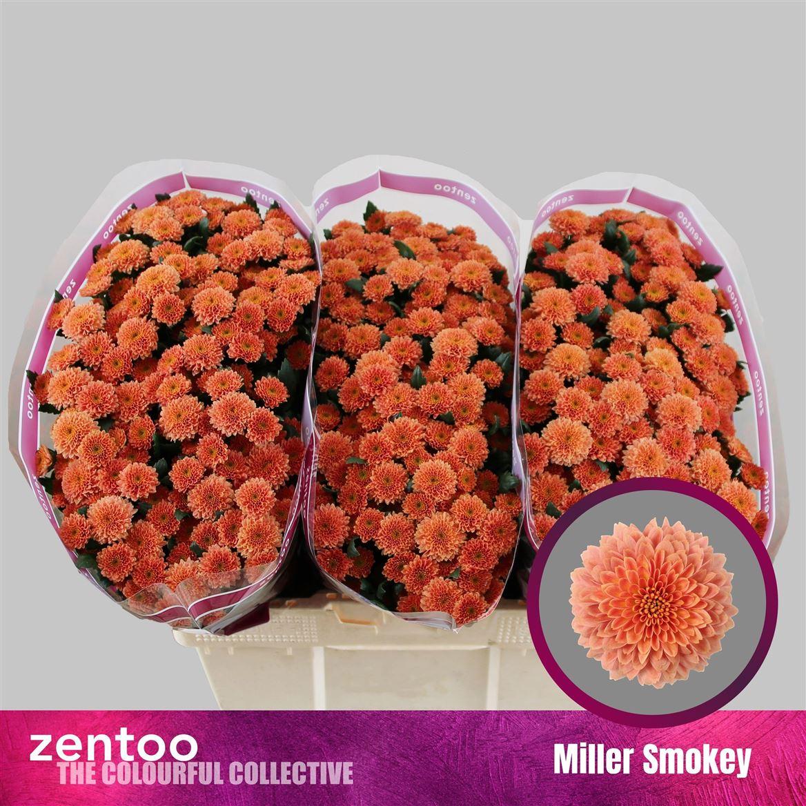 Chr S Miller Smokey